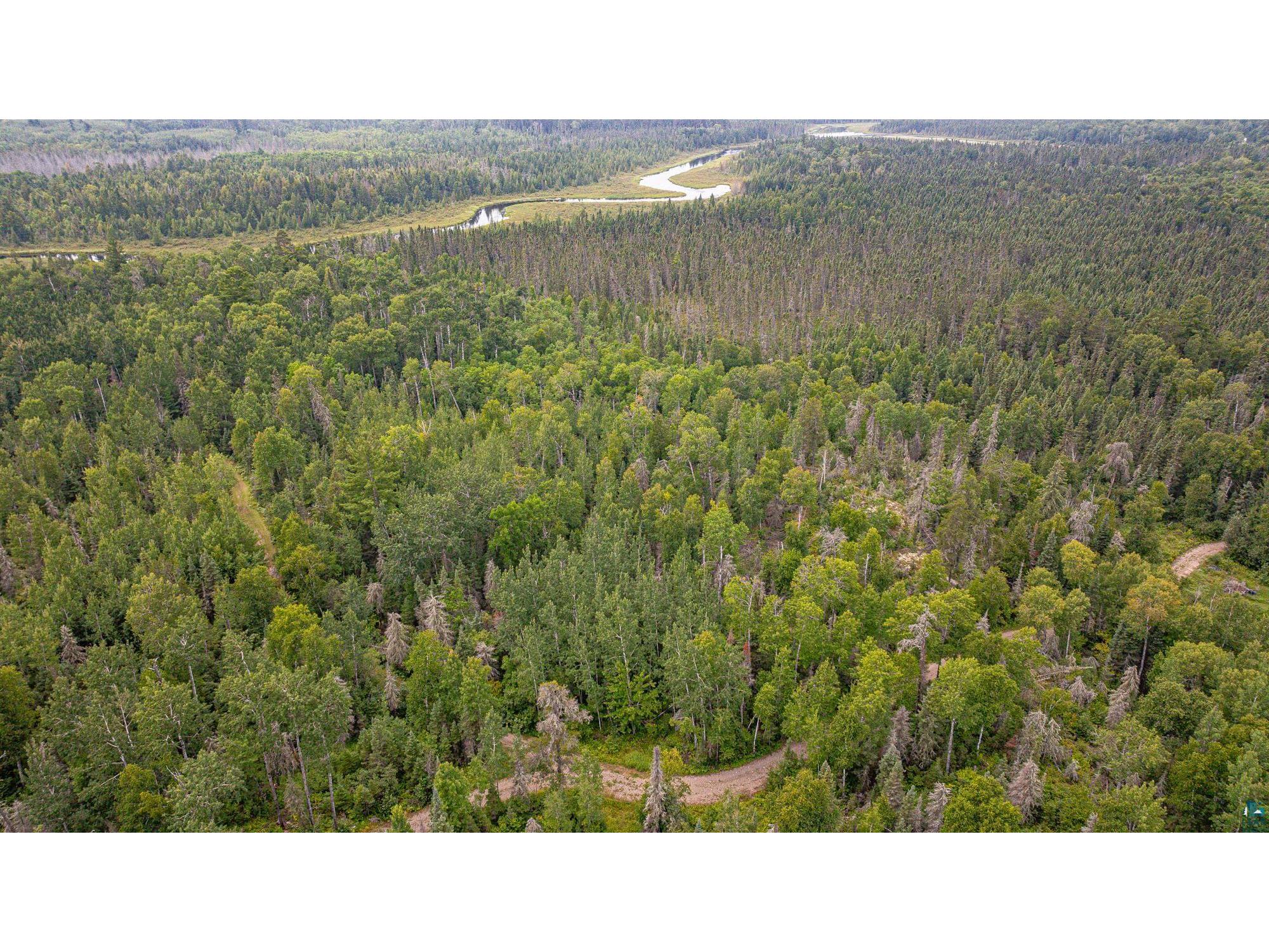 XXX Olson Bay Tr Ely MN 55731 - Shagawa Lake 6124409 image43