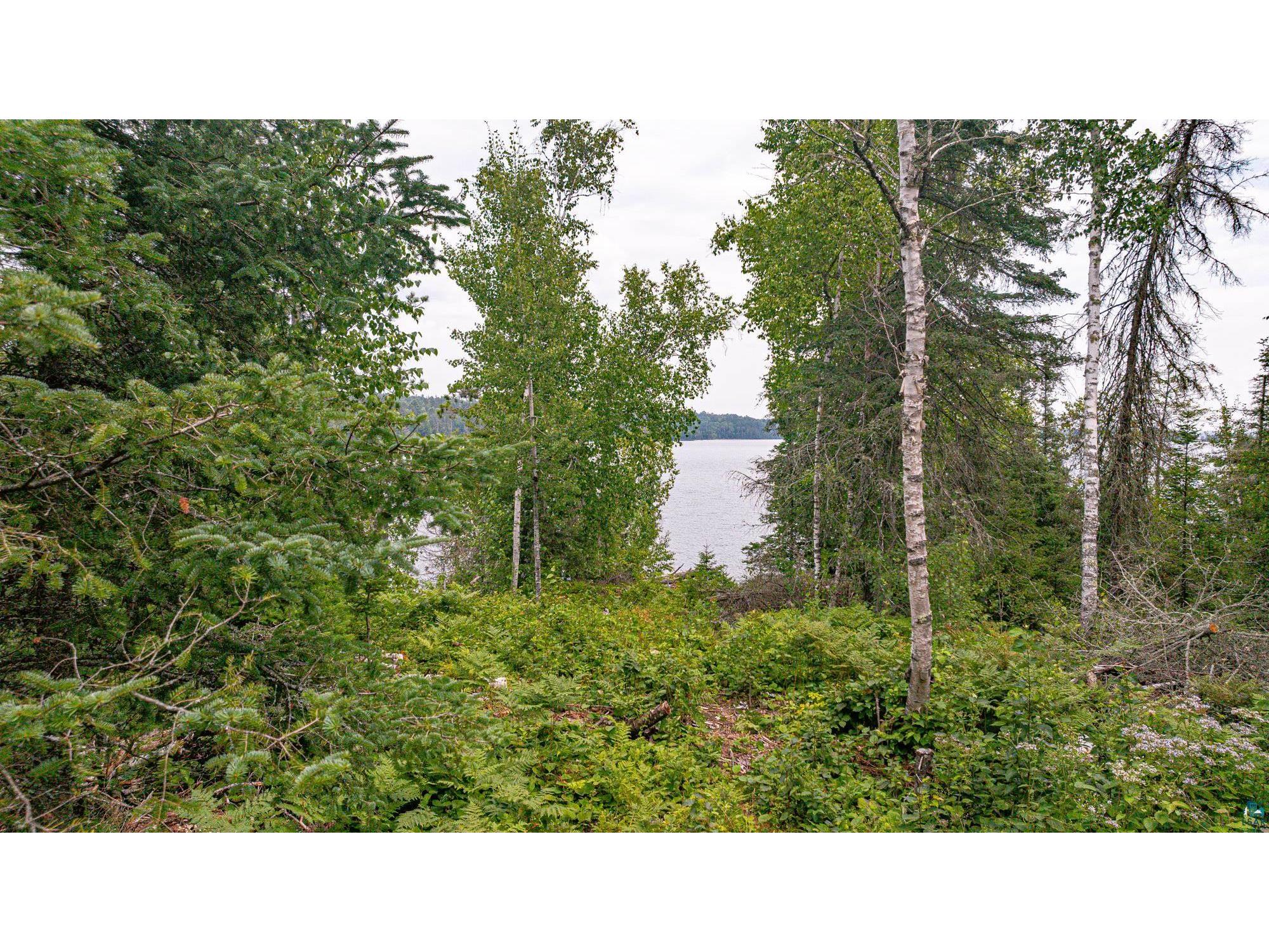 XXX Olson Bay Tr Ely MN 55731 - Shagawa Lake 6124409 image45
