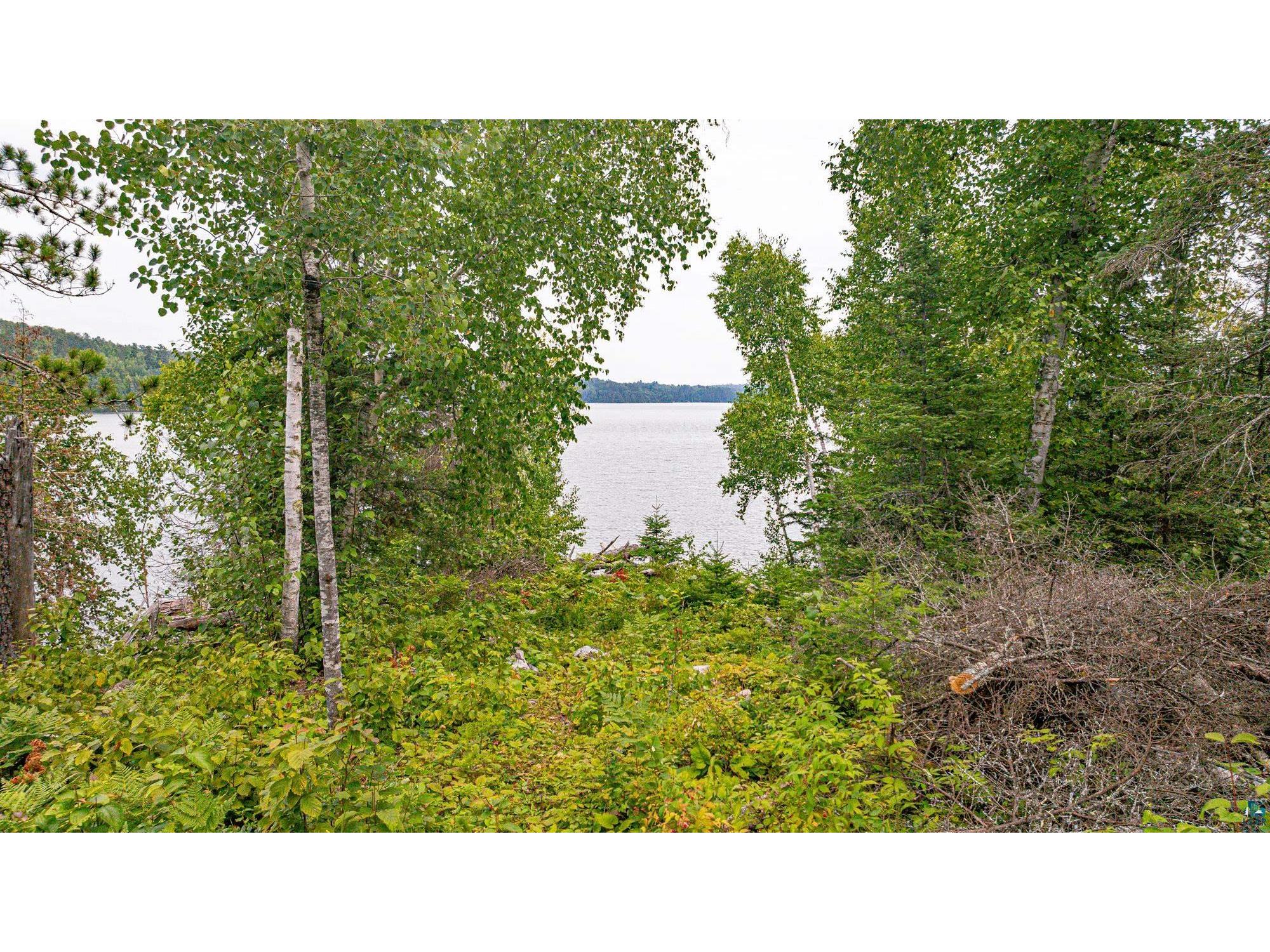 XXX Olson Bay Tr Ely MN 55731 - Shagawa Lake 6124409 image46