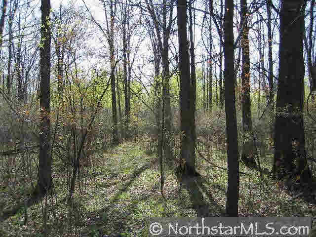 XXX Ranch Road Hillman MN 56338 1755312 image2
