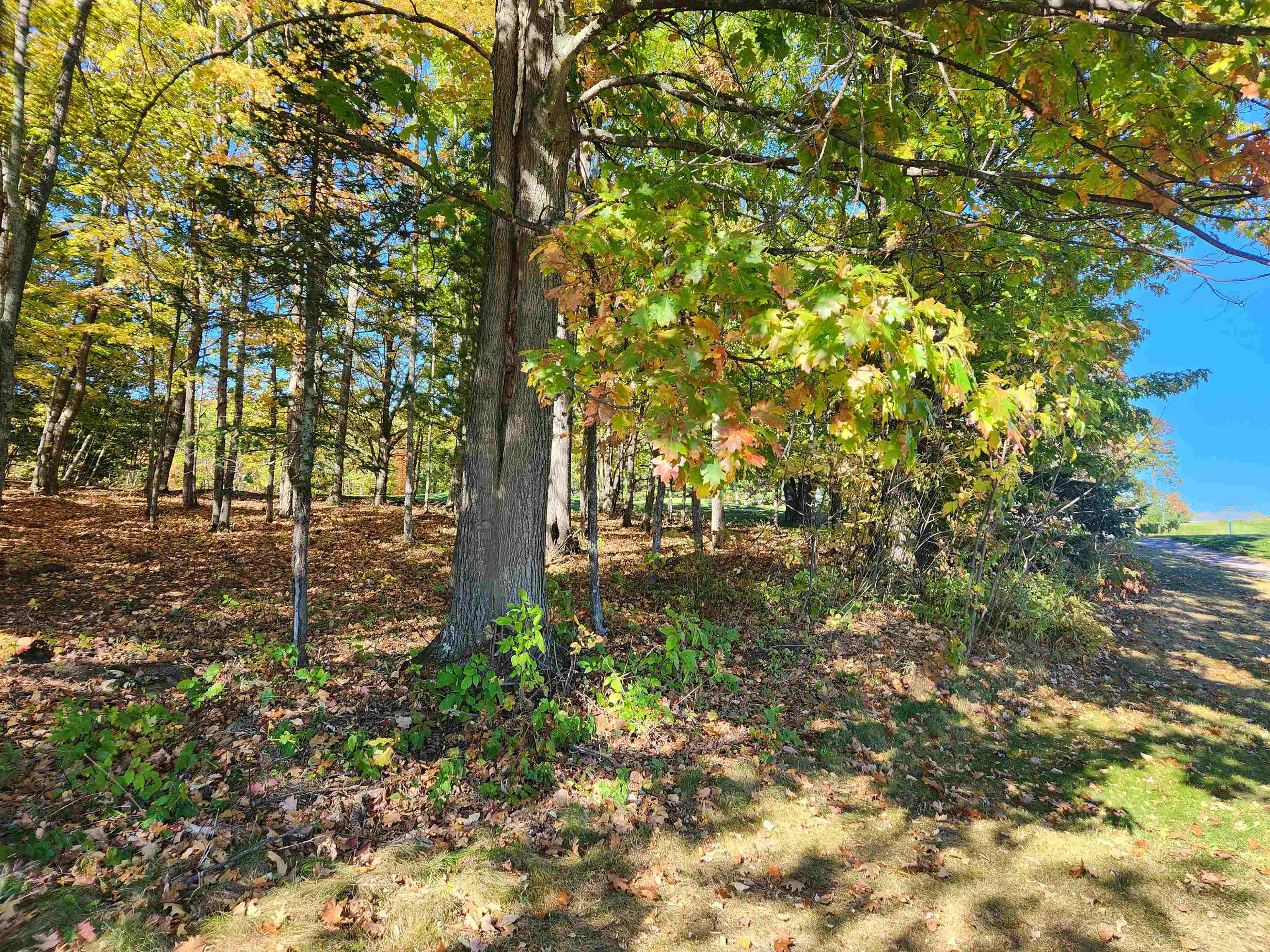 XXX Raspberry Ln Bayfield WI 54814 - POND 6116701 image10