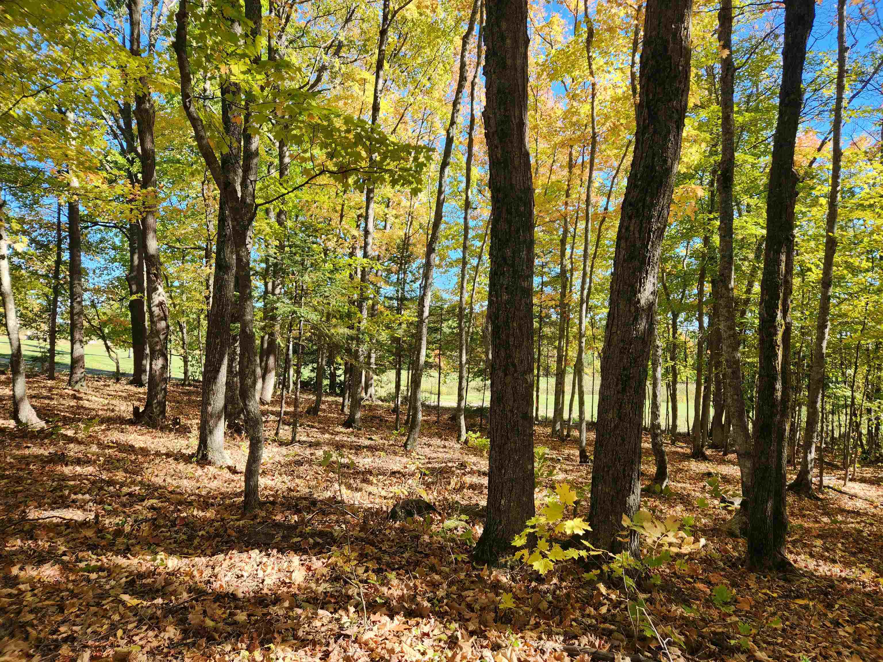 XXX Raspberry Ln Bayfield WI 54814 - POND 6116701 image12