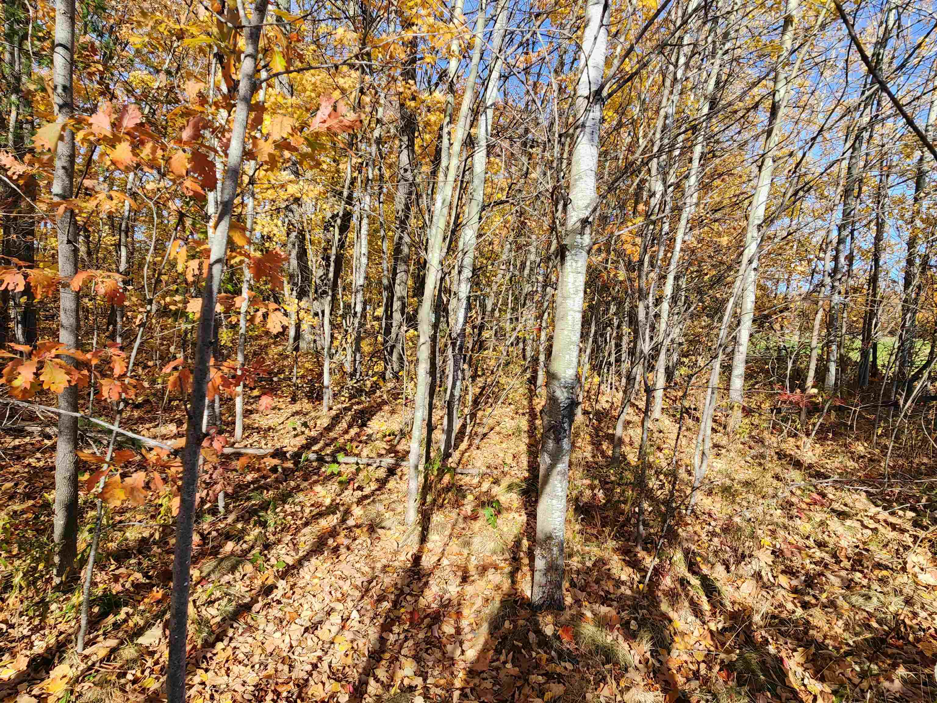 XXX Raspberry Ln Bayfield WI 54814 - POND 6116701 image14