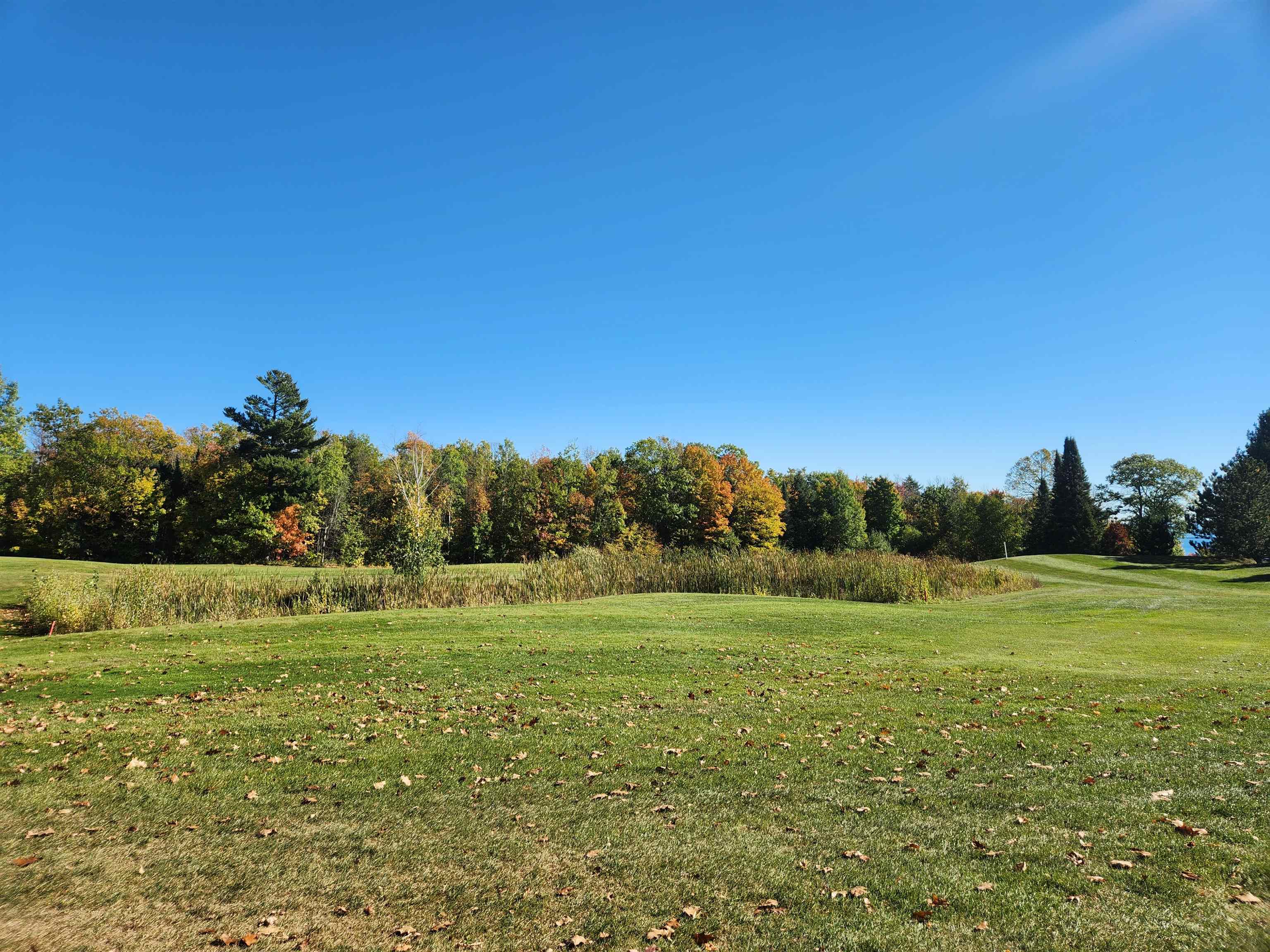 XXX Raspberry Ln Bayfield WI 54814 - POND 6116701 image34