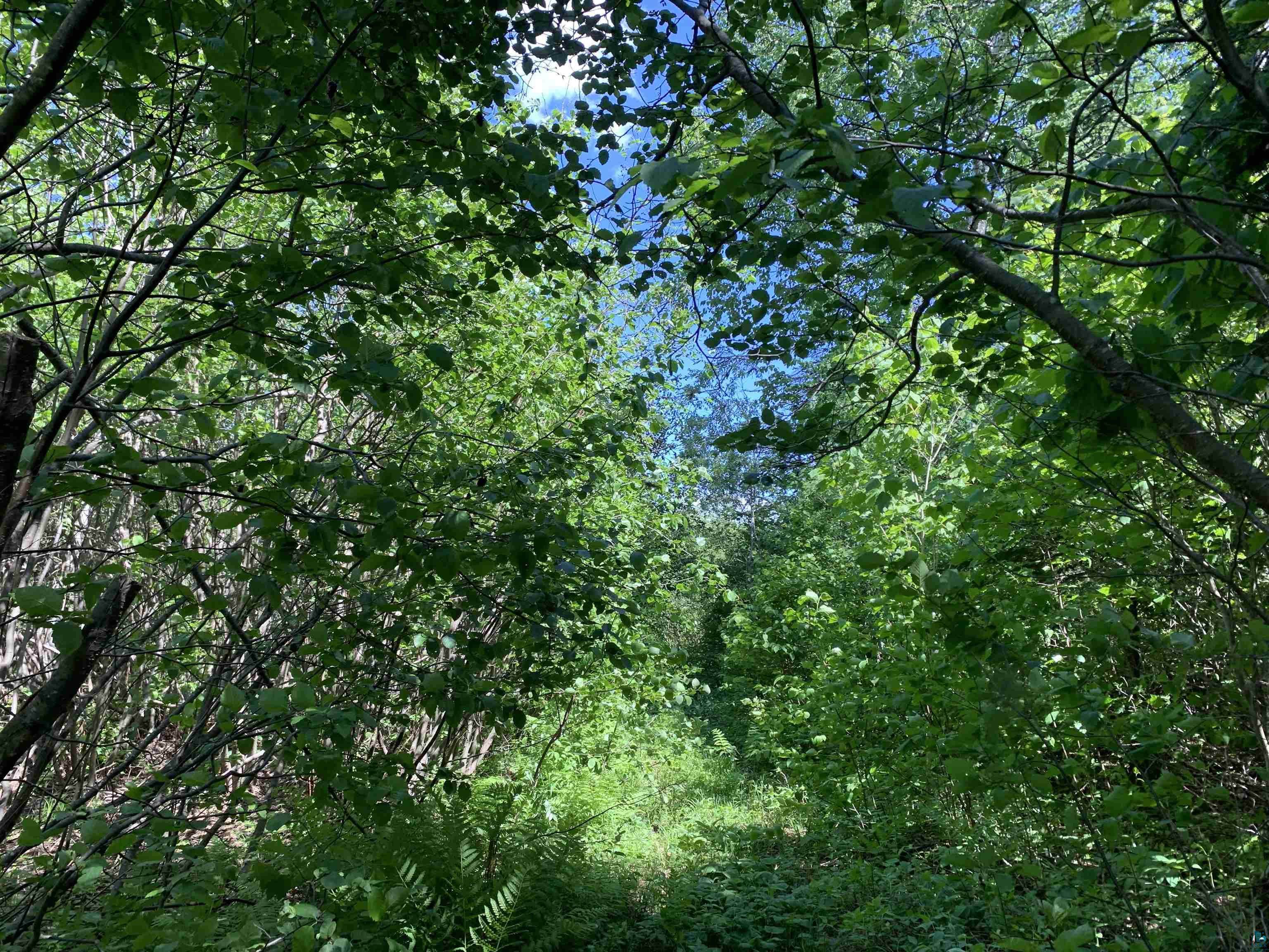 XXX Reason Rd Hovland MN 55606 6103087 image1