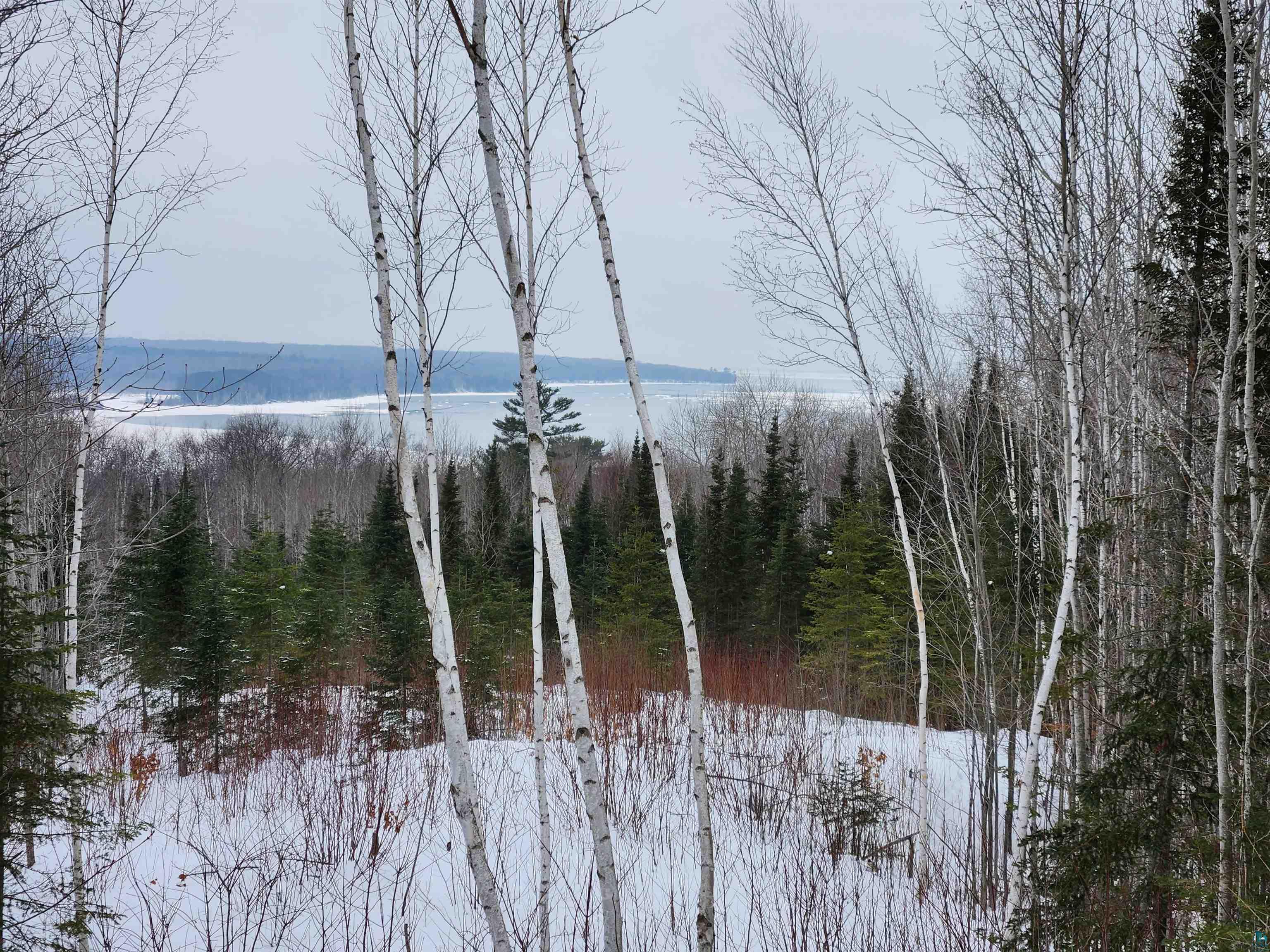 XXX Ridge Rd, Bayfield, WI, 54814 MLS 6106759 Edina Realty