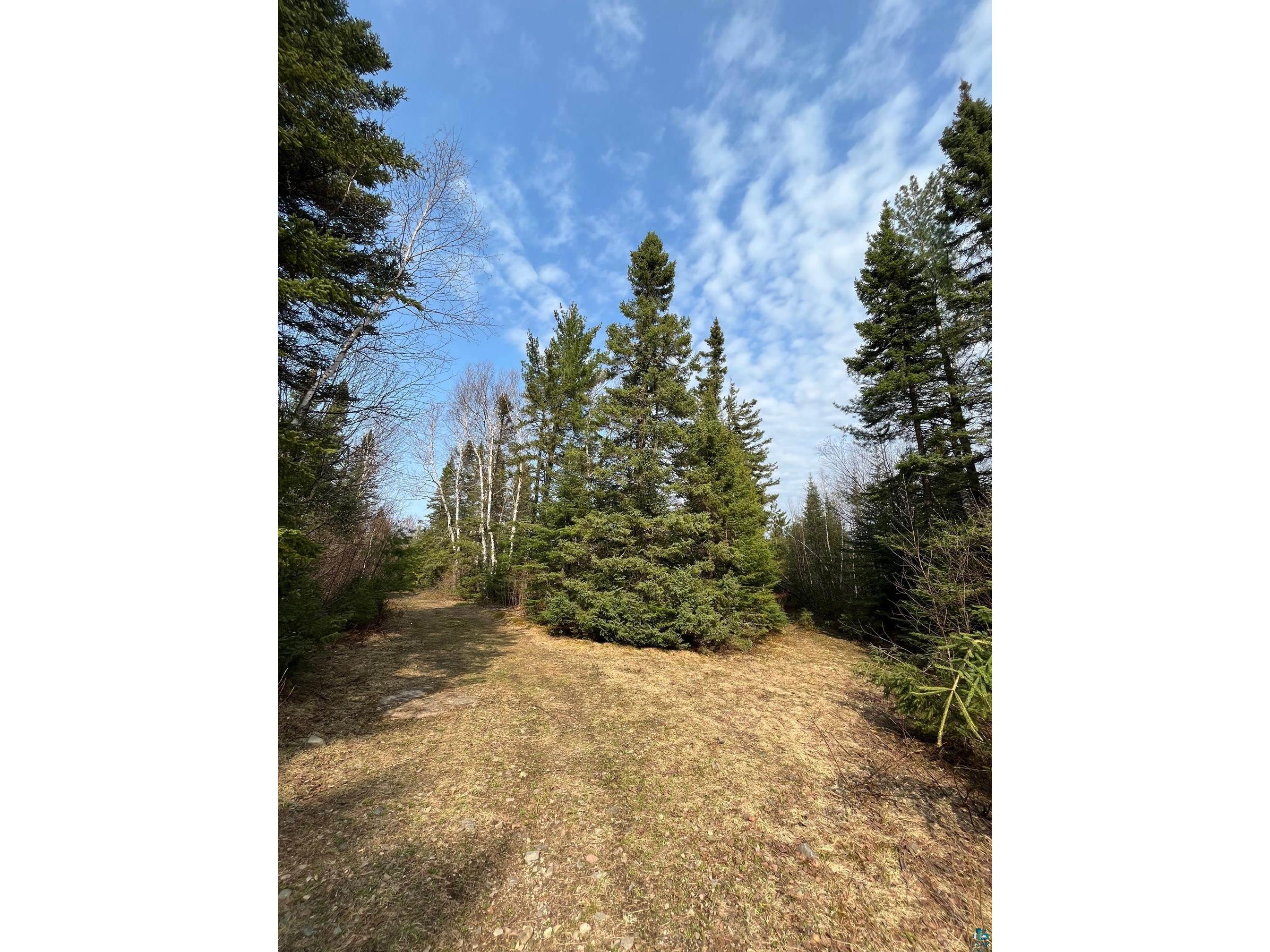 XXX Rocky Top Trail Hovland MN 55606 6108263 image1