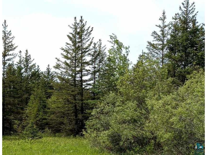 XXX S Millview Rd South Range WI 54874 6107764 image1