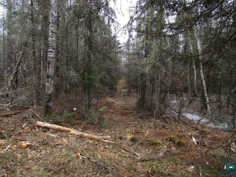 XXX Suoja Rd Ely MN 55731 - White Iron 6096514 image1