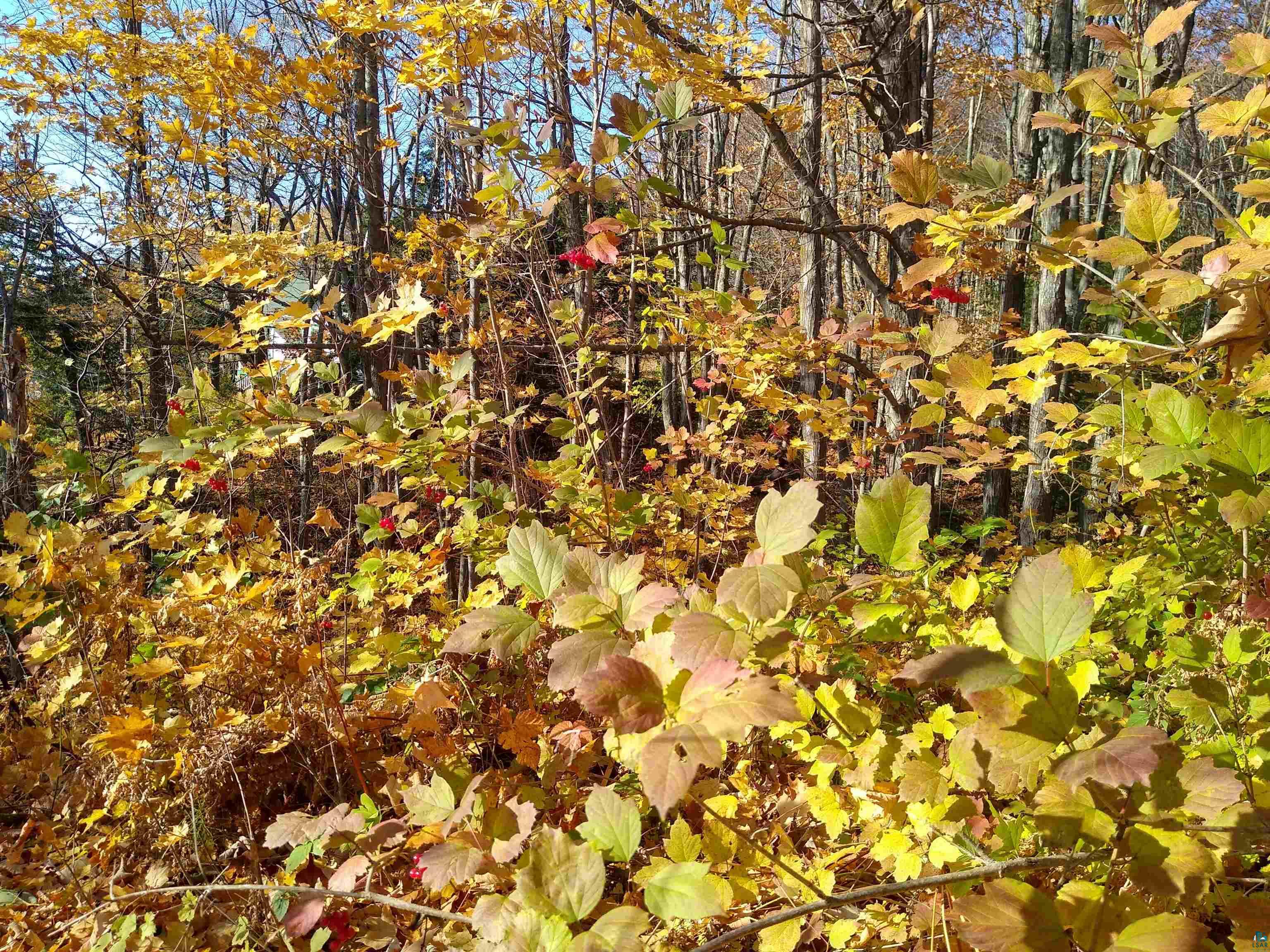 XXX Sweeny Ave Bayfield WI 54814 6106303 image1