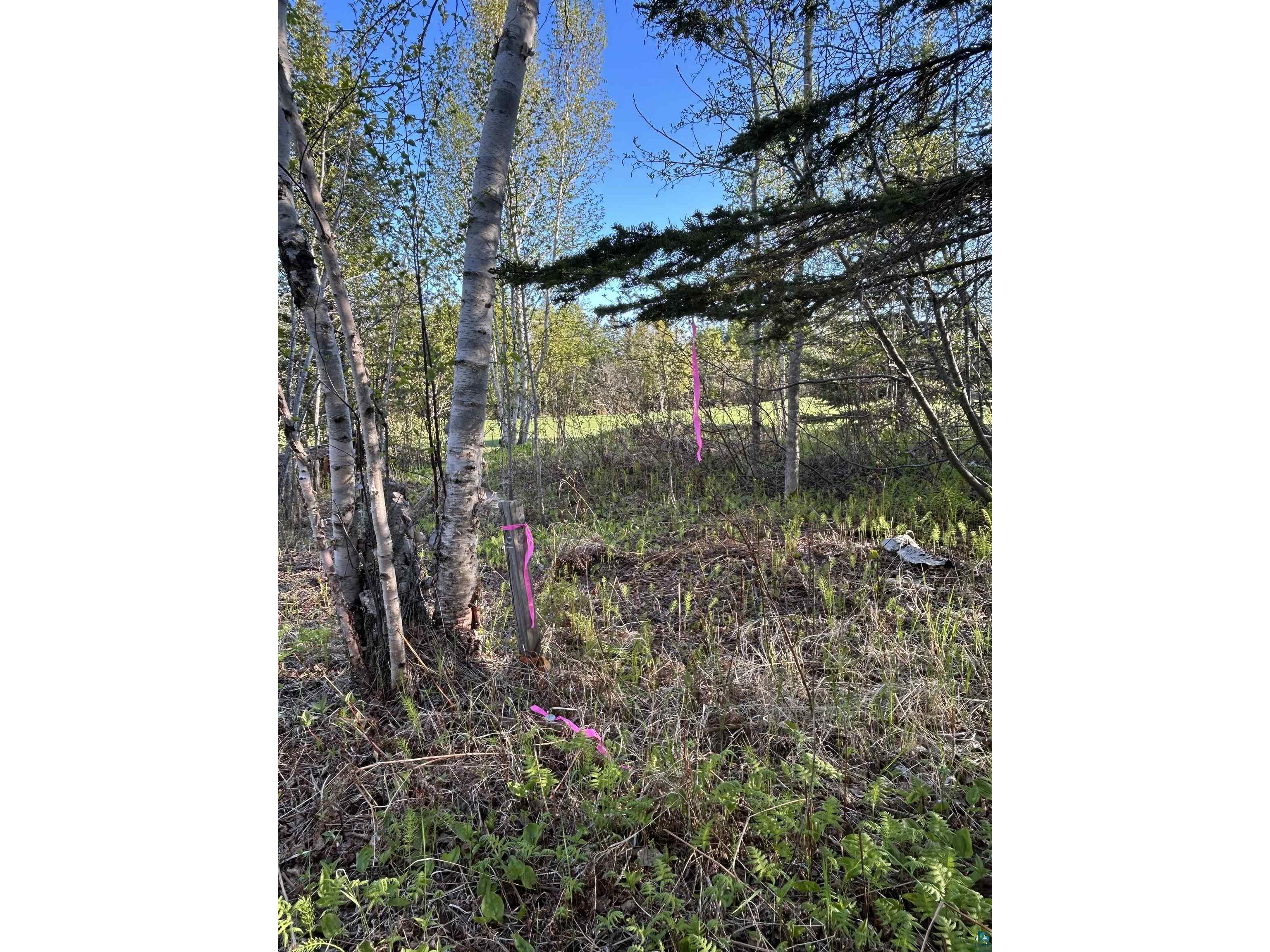 XXX Tall Timber Tr Lutsen MN 55612 6125652 image7