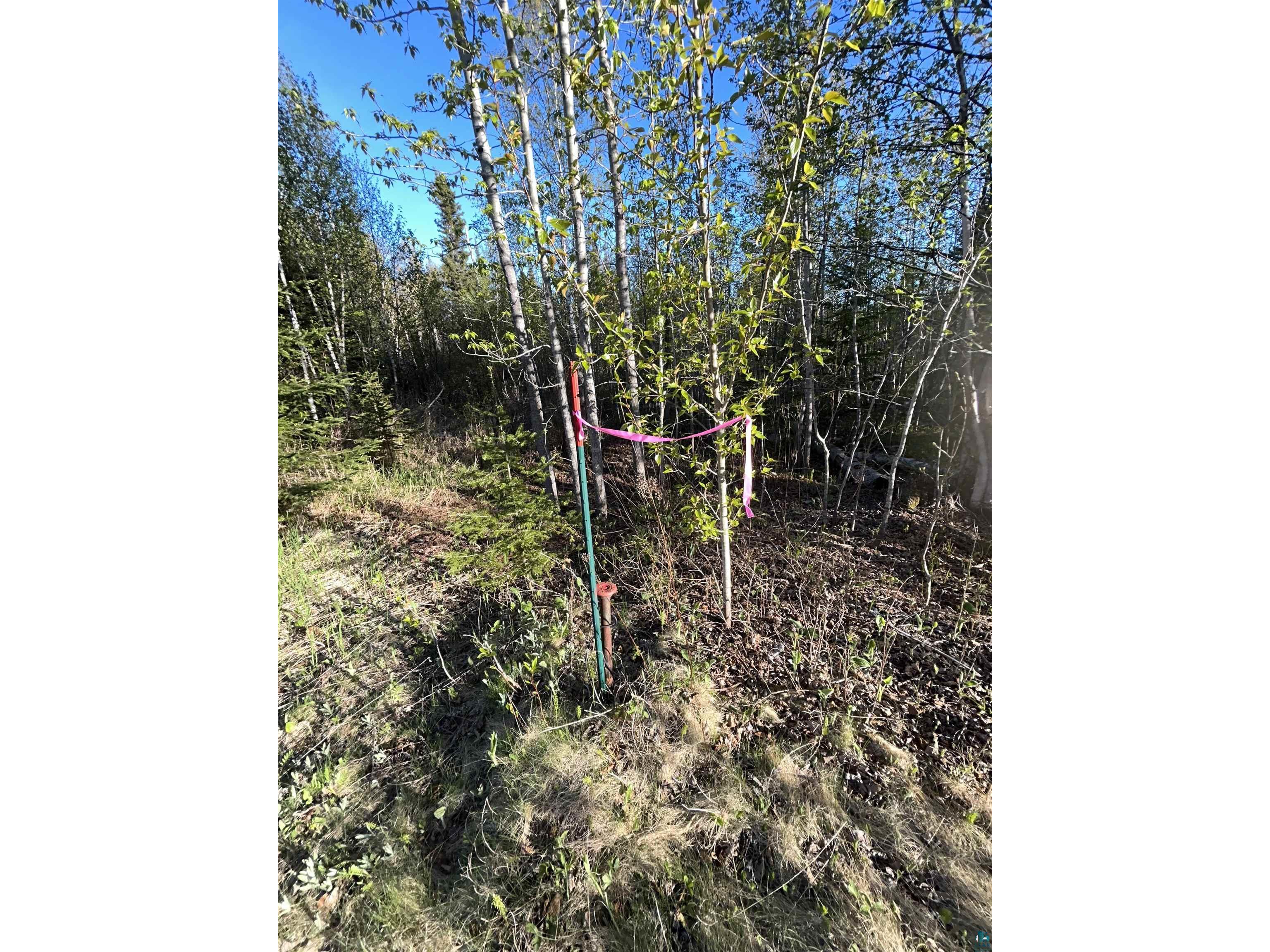 XXX Tall Timber Tr Lutsen MN 55612 6125652 image9