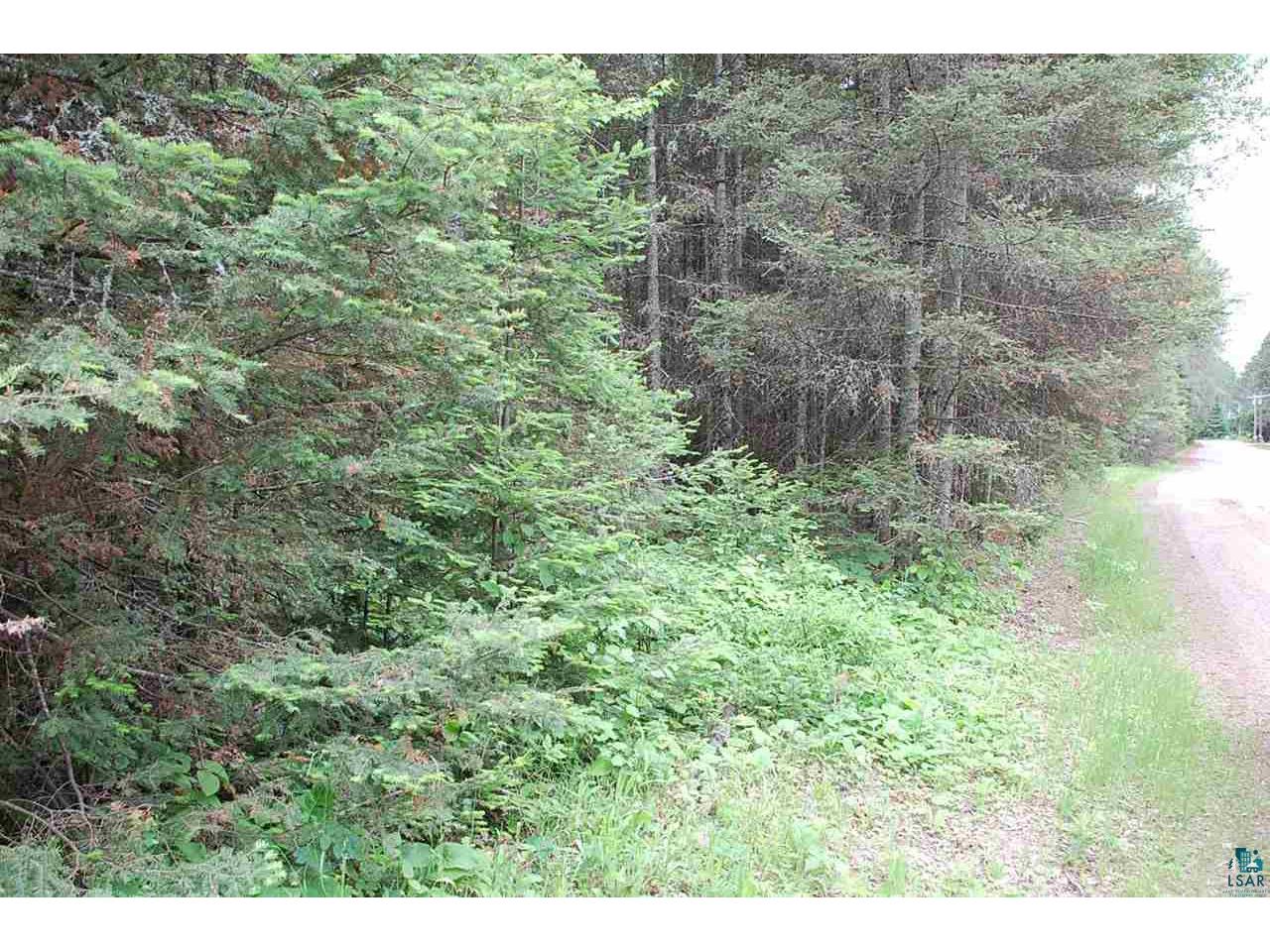 XXX Twin Lakes Loop 45, Aurora, MN, 55705 MLS 6107810 Edina Realty