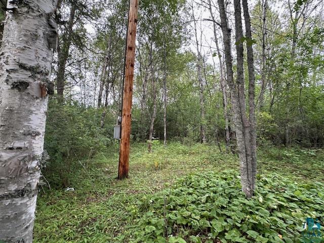 XXX Victor Lake Rd Pineville MN 55708 6115556 image1