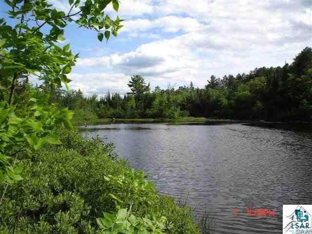 XXX1 Lane 51 Aurora MN 55705 - Partridge 6126614 image3