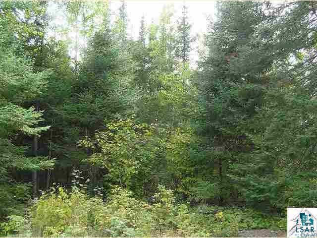 XXX1 Lane 51 Aurora MN 55705 - Partridge 6126614 image4