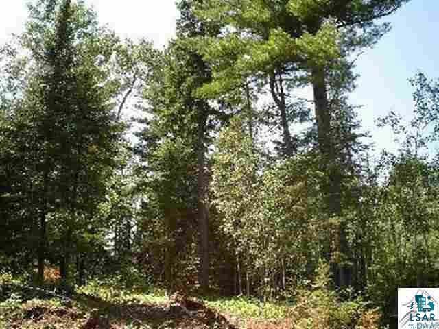 XXX1 Lane 51 Aurora MN 55705 - Partridge 6126614 image5