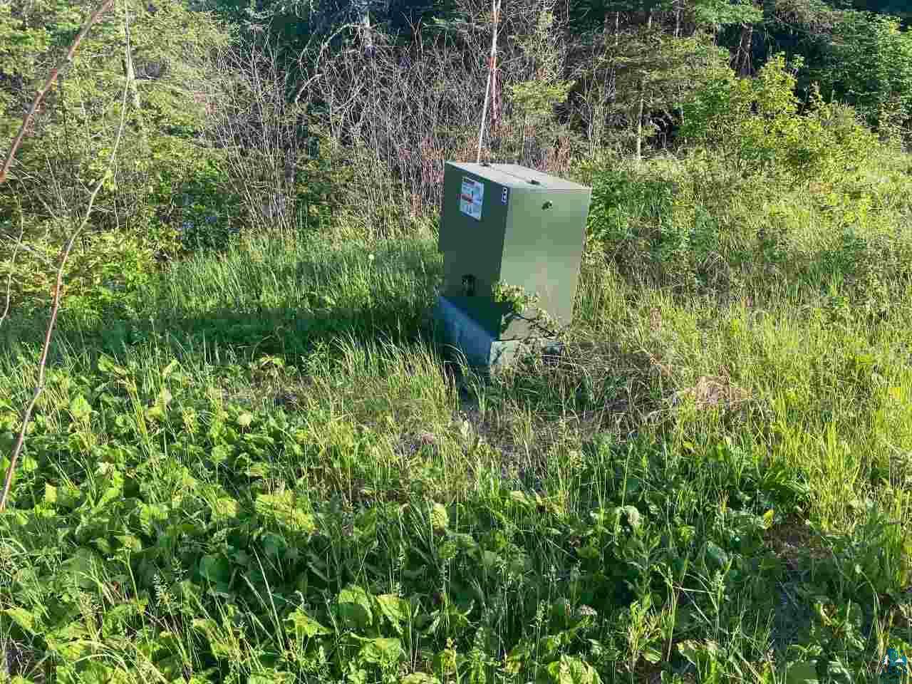 XXX1 Lane 51 Aurora MN 55705 - Partridge 6126614 image6