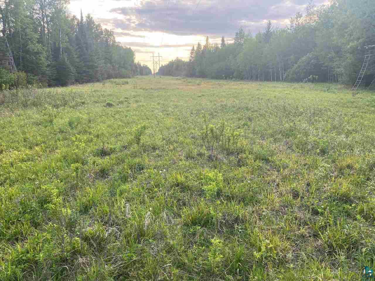 XXX1 Lane 51 Aurora MN 55705 - Partridge 6126614 image8