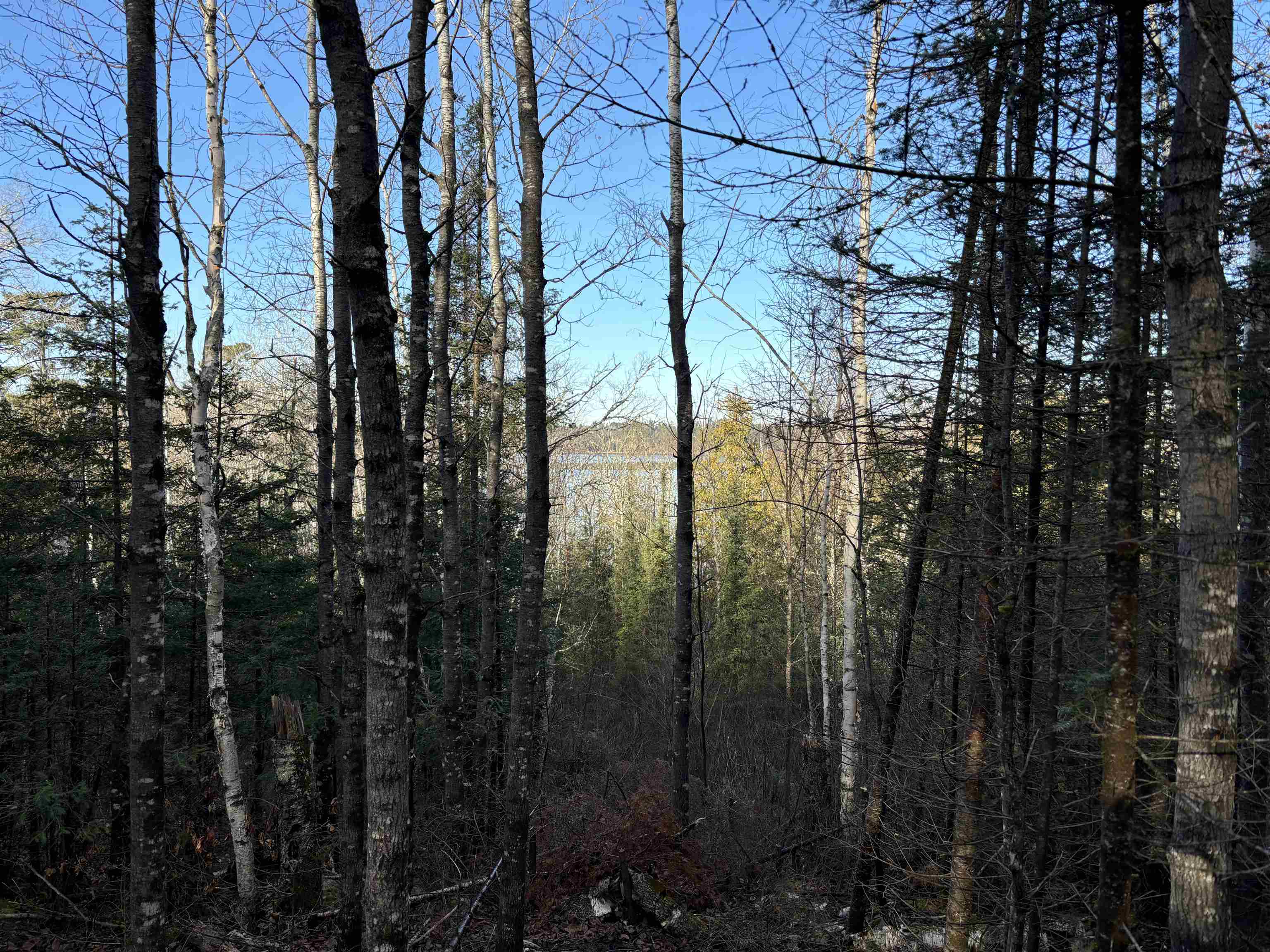 XXX10 Powerhouse Trail Ely MN 55731 - Fall 6123040 image4