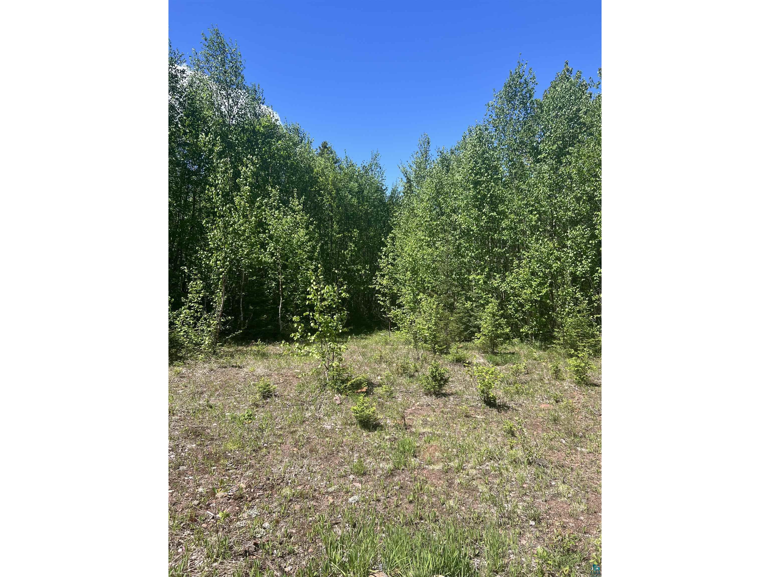 XXX2 Heffelfinger Tr Finland MN 55614 6117264 image1