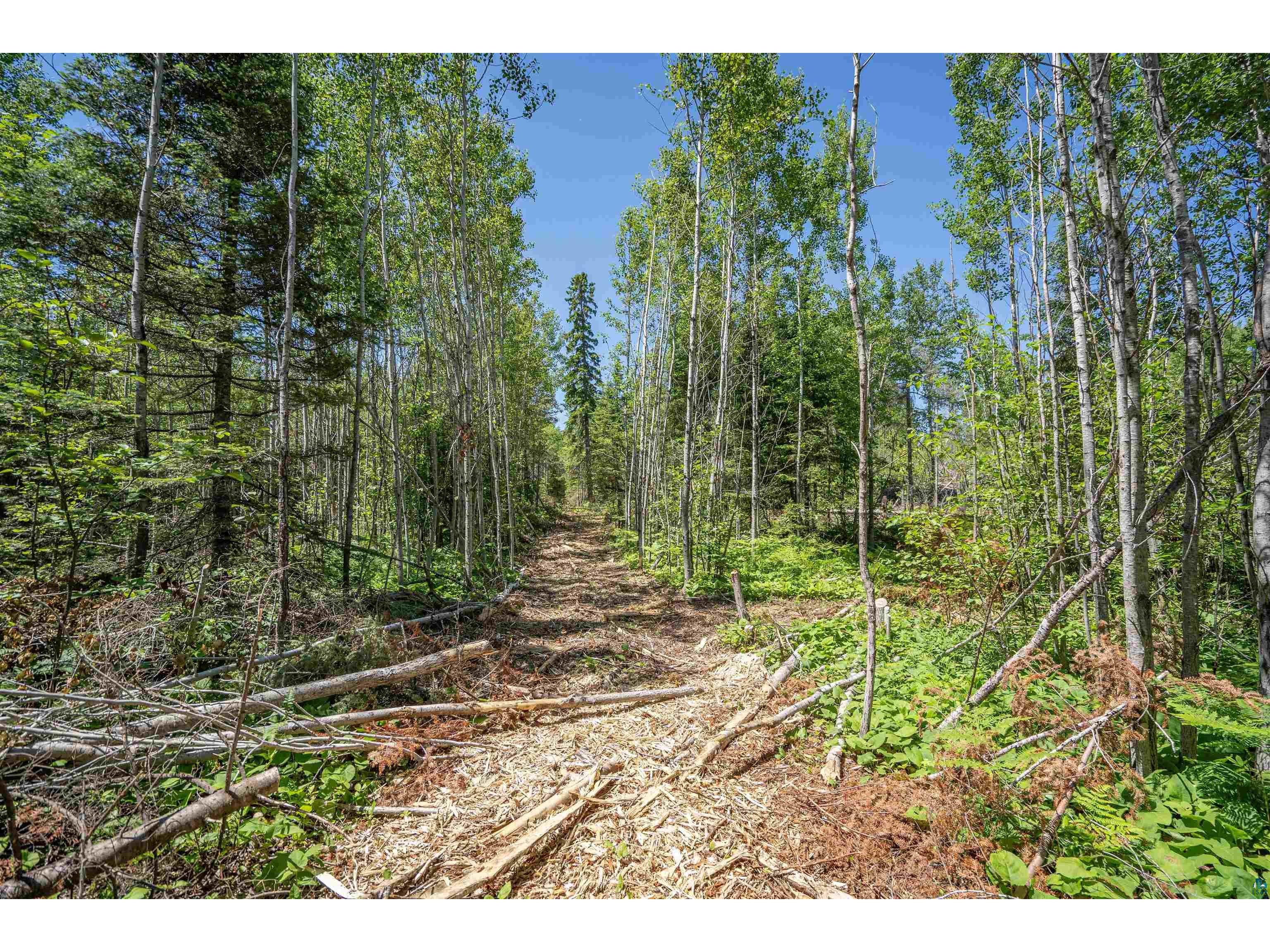 XXX2 Wildwood Rd Duluth MN 55804 6126272 image18