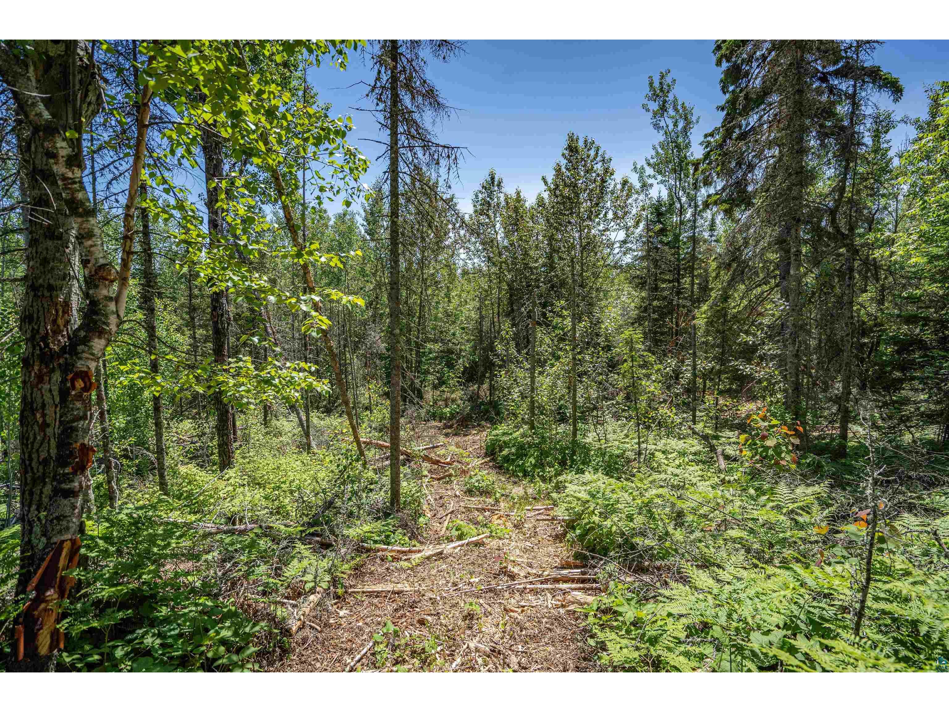 XXX2 Wildwood Rd Duluth MN 55804 6126272 image22