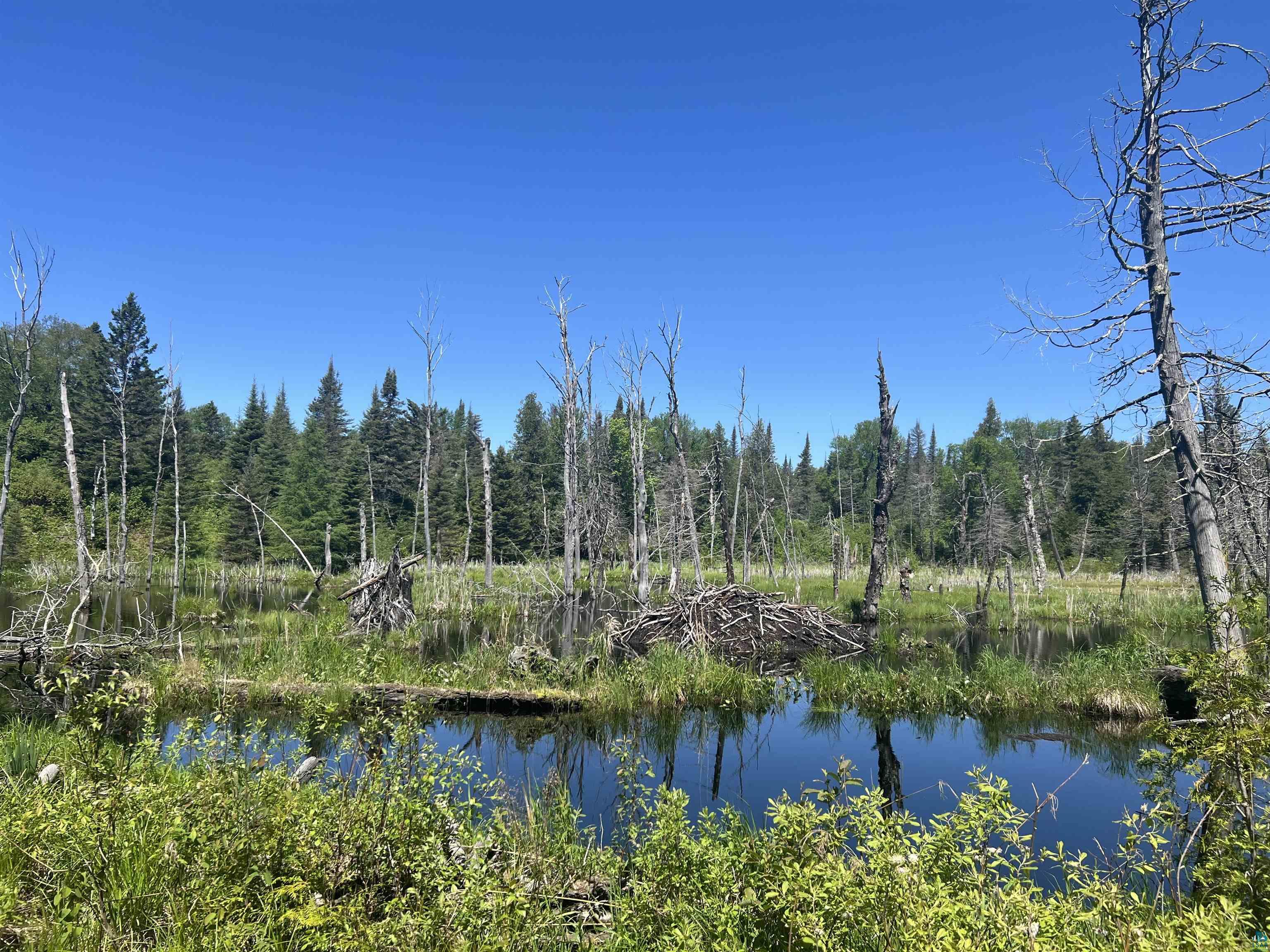 XXX3 Heffelfinger Tr Finland MN 55614 - Beaver Lake 6125221 image1