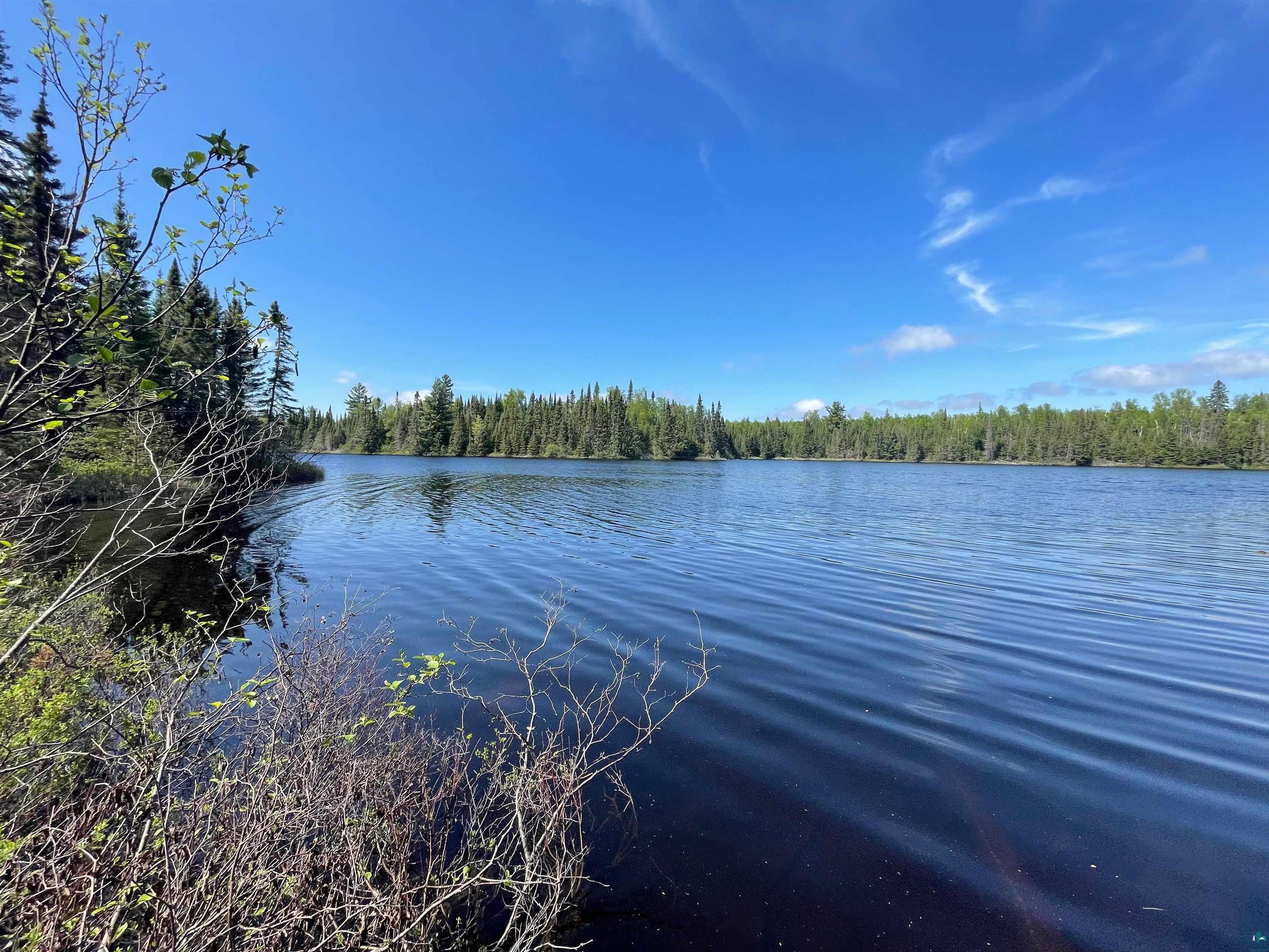 XXX3 Old Gunflint Trail Grand Marais MN 55604 - Portage 6118643 image1