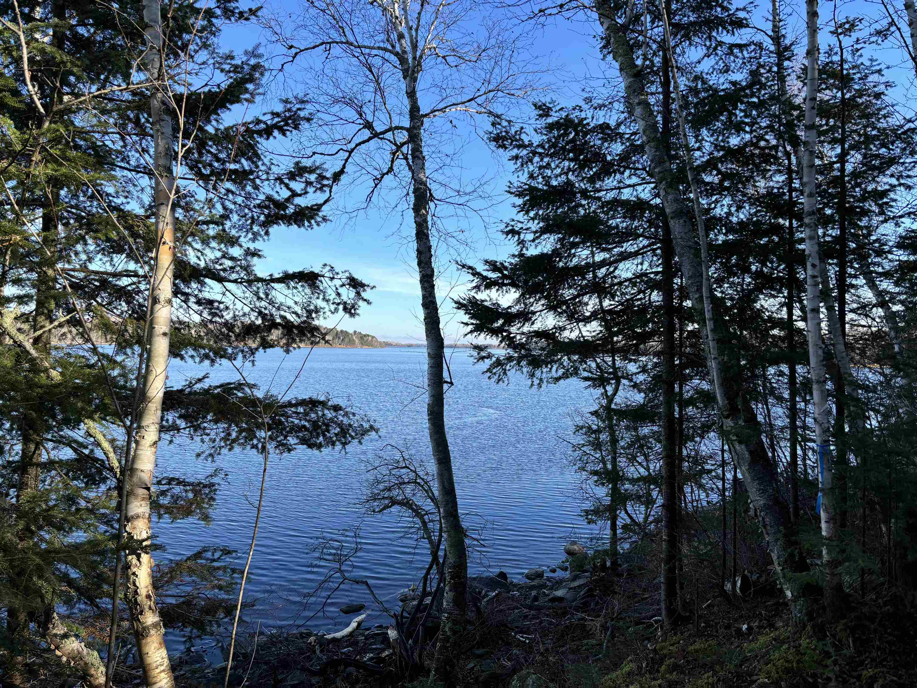 XXX3 Powerhouse Trail Ely MN 55731 - Fall 6117108 image1