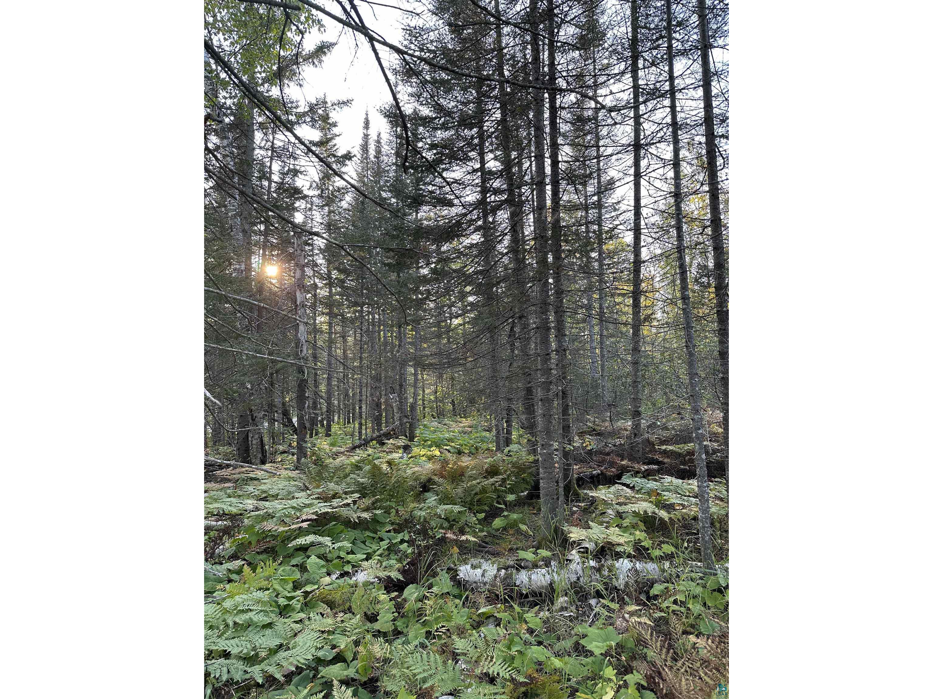 XXX3 Ski Hill Rd Lutsen MN 55612 6110983 image1