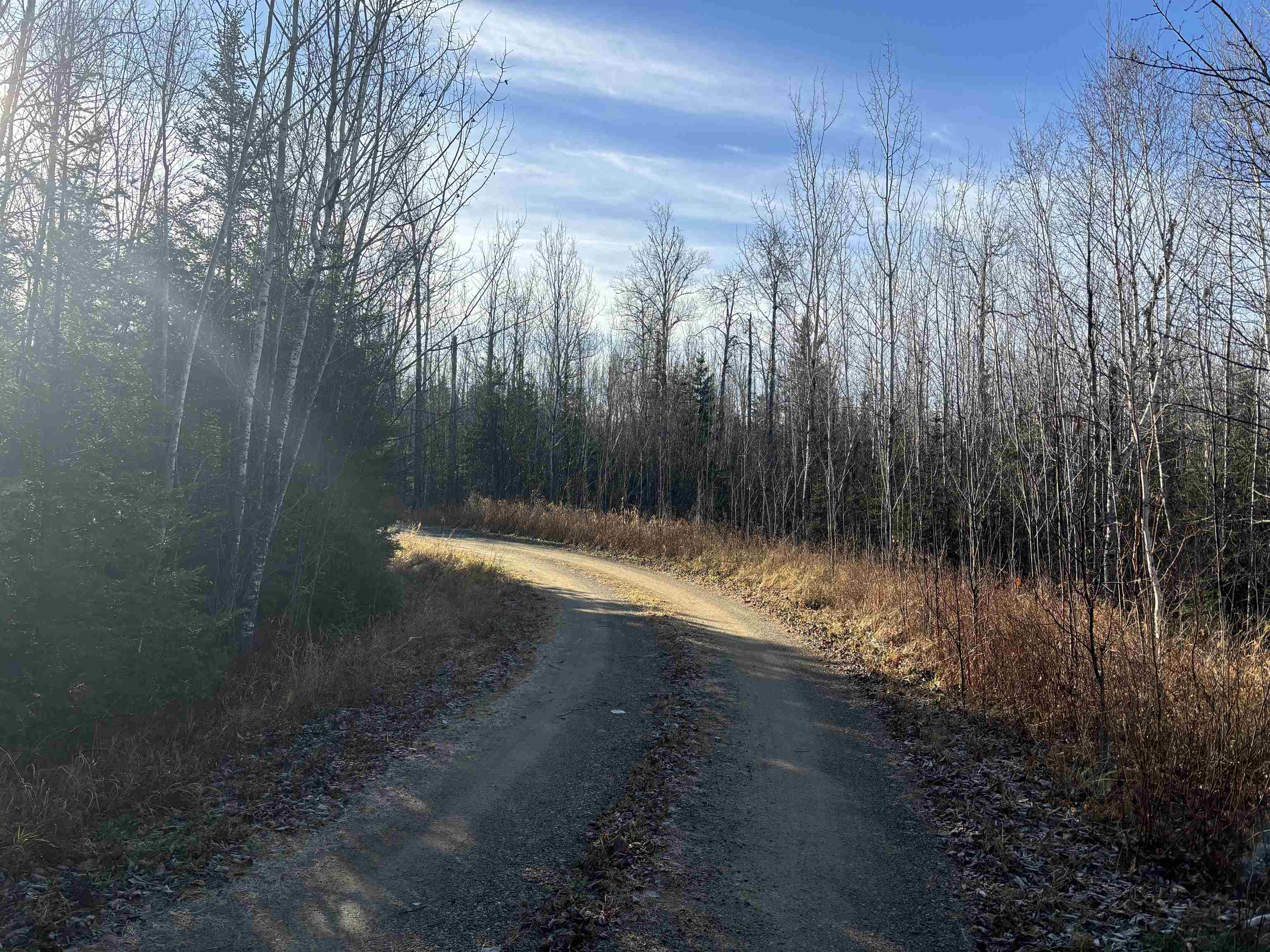 XXX9 Powerhouse Trail Ely MN 55731 - Fall 6123039 image12