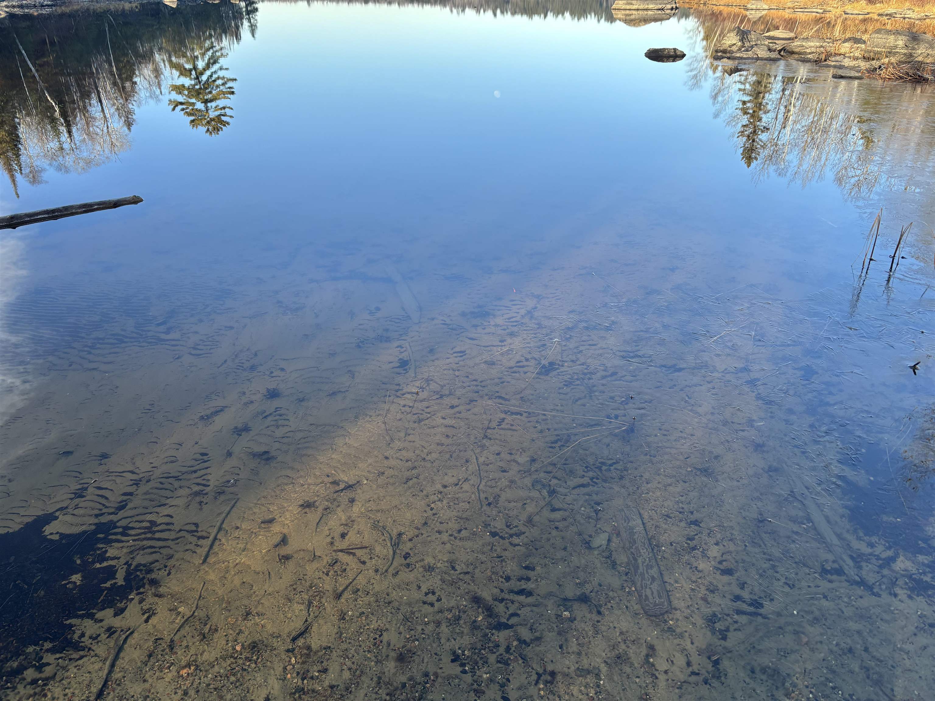 XXX9 Powerhouse Trail Ely MN 55731 - Fall 6123039 image6