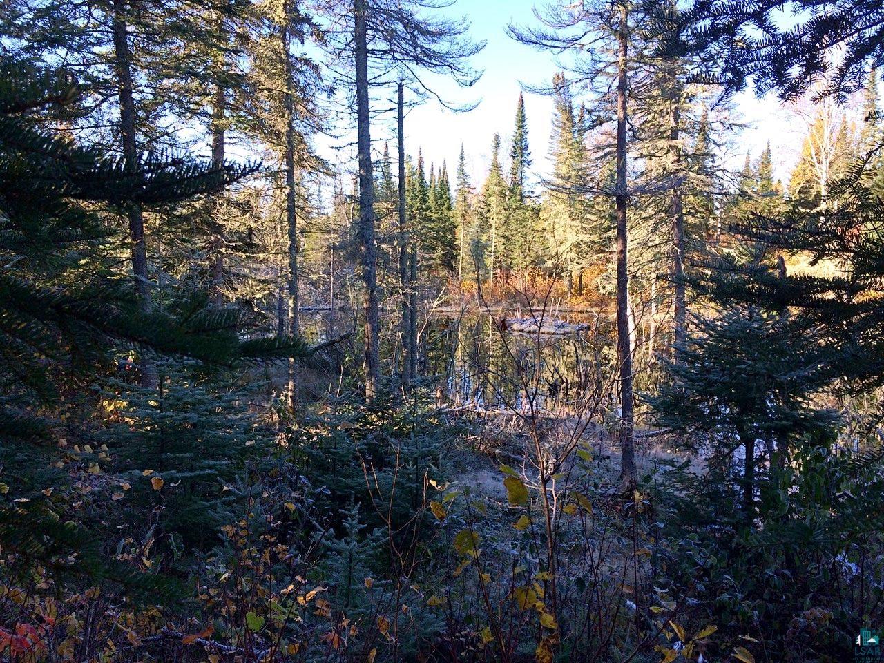 XXXA Camp 20 Rd Hovland MN 55606 6110761 image1