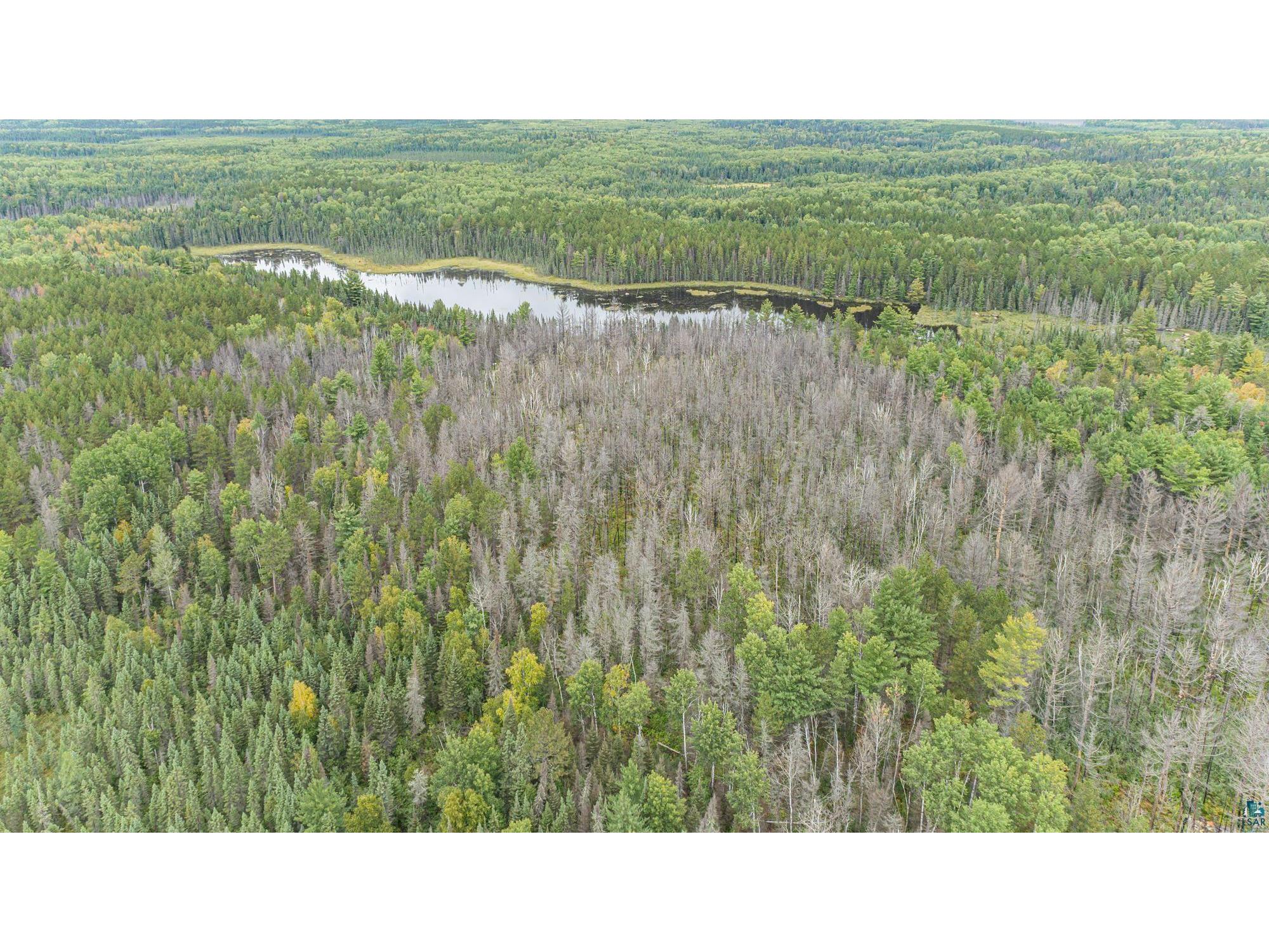 XXXTBD Moose Loop Ely MN 55731 6108771 image1