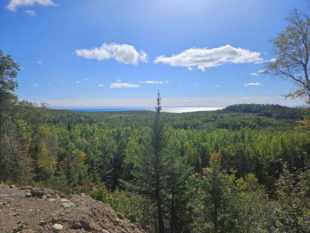 XXXX-1 Jackson Lake Rd Hovland MN 55606 6112490 image1