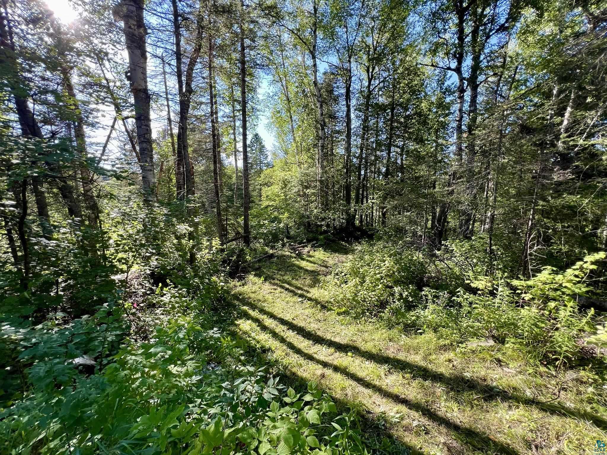 XXXX Camp 26 Rd Finland MN 55603 6125225 image14