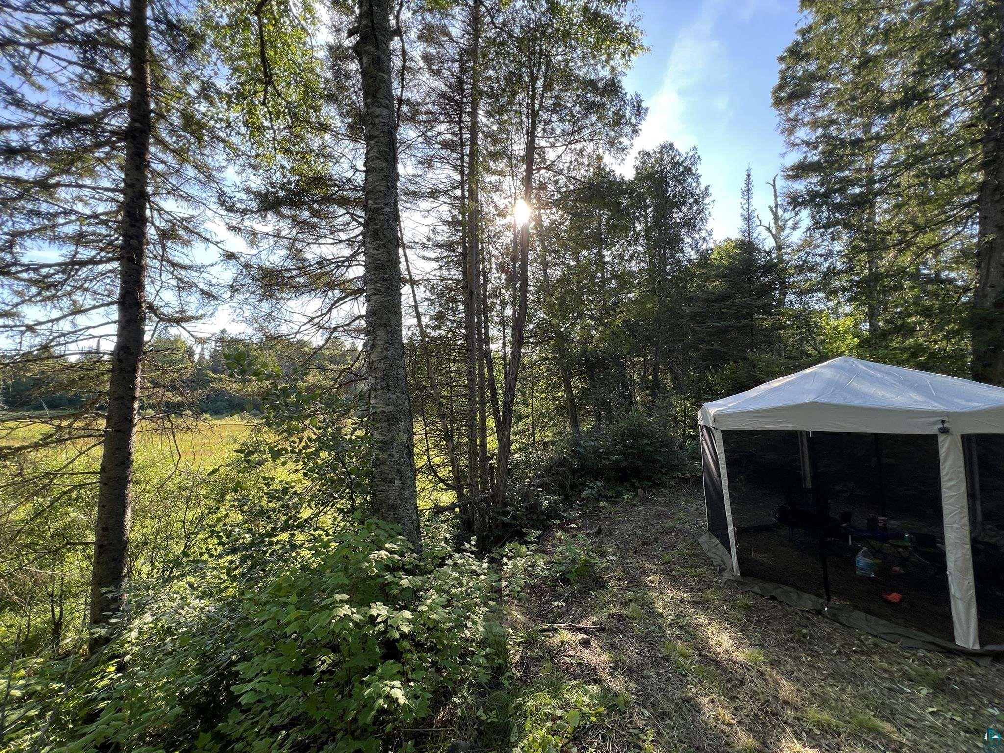 XXXX Camp 26 Rd Finland MN 55603 6125225 image16