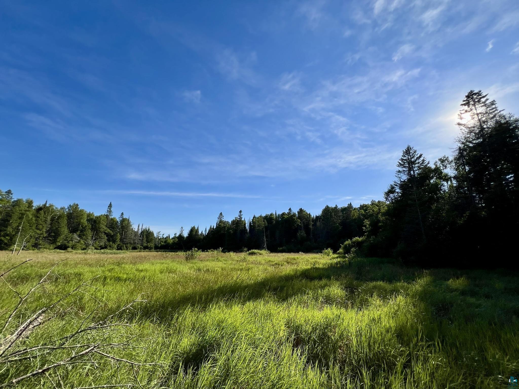 XXXX Camp 26 Rd Finland MN 55603 6125225 image17