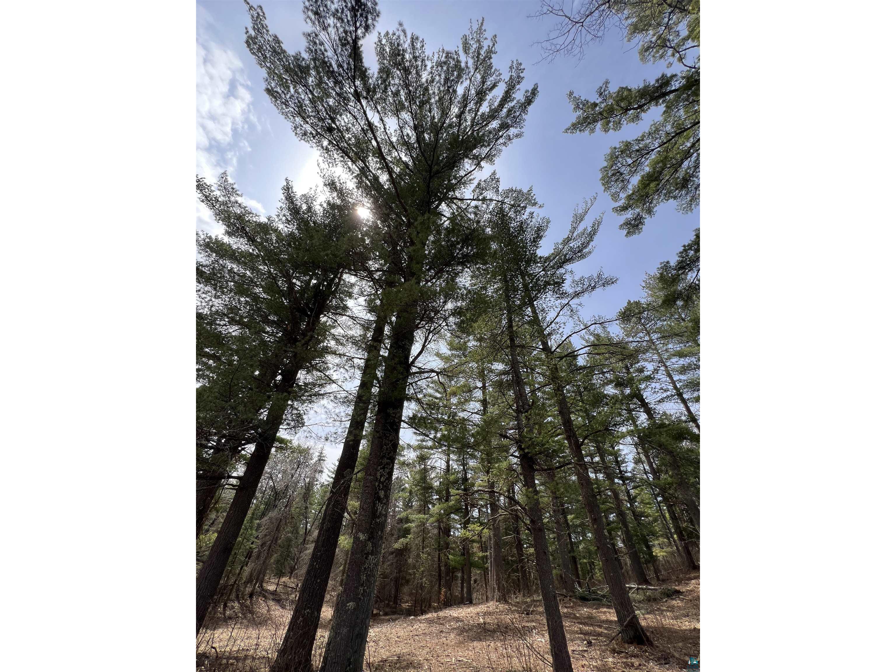 XXXX Camp House Rd Brimson MN 55602 6124779 image1