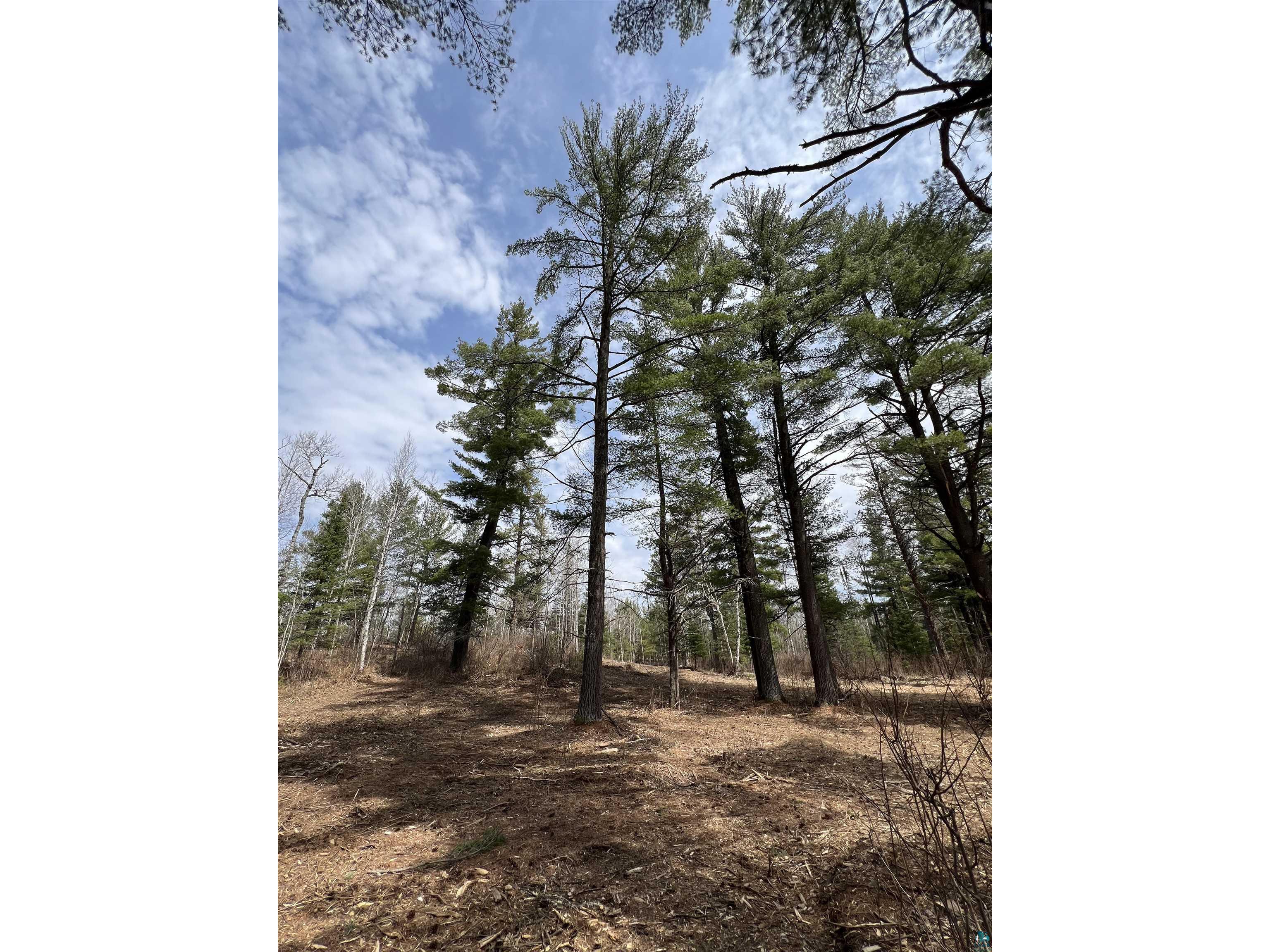 XXXX Camp House Rd Brimson MN 55602 6124779 image10