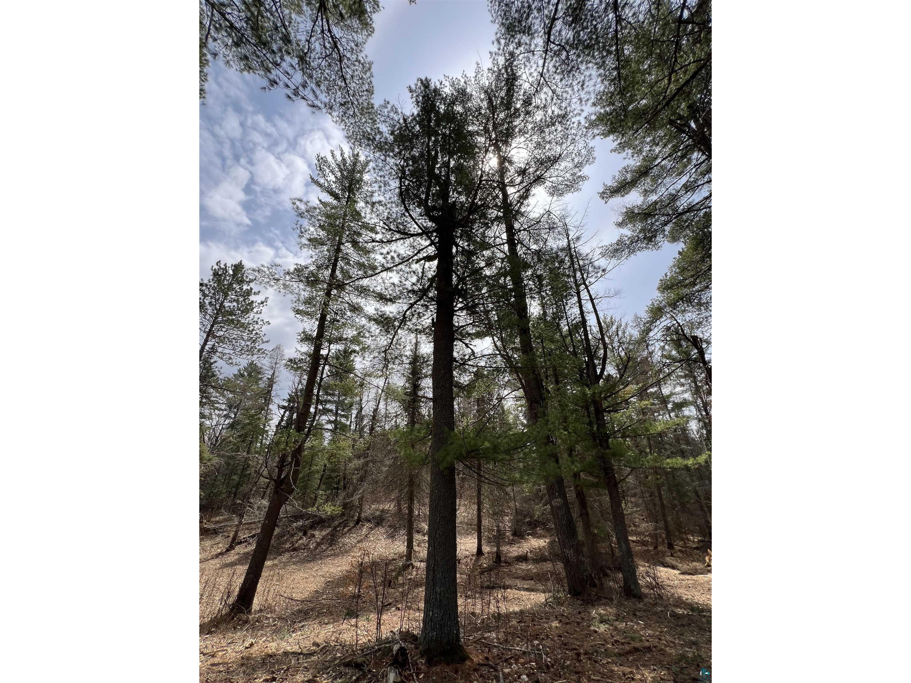 XXXX Camp House Rd Brimson MN 55602 6124779 image11