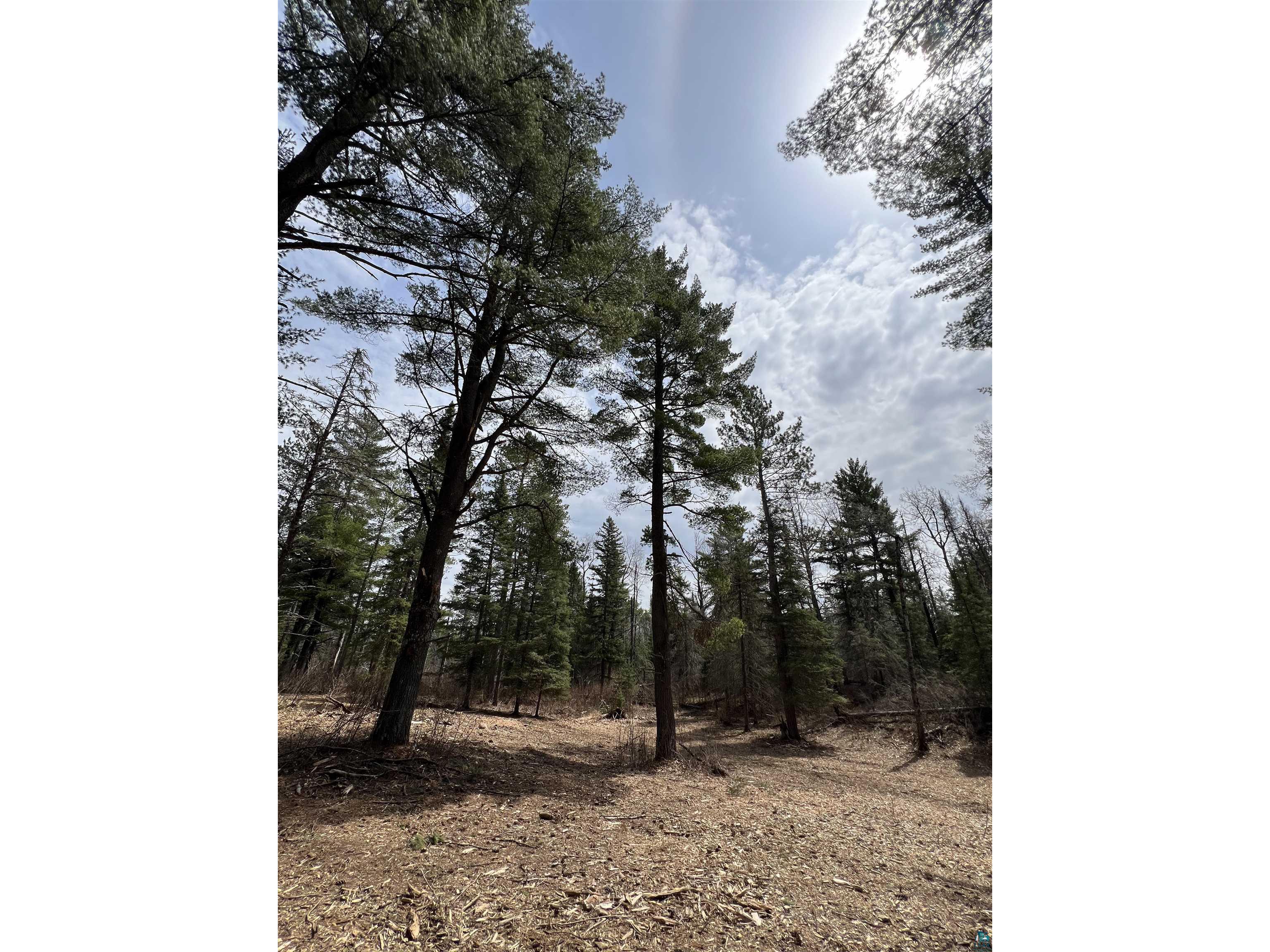 XXXX Camp House Rd Brimson MN 55602 6124779 image12