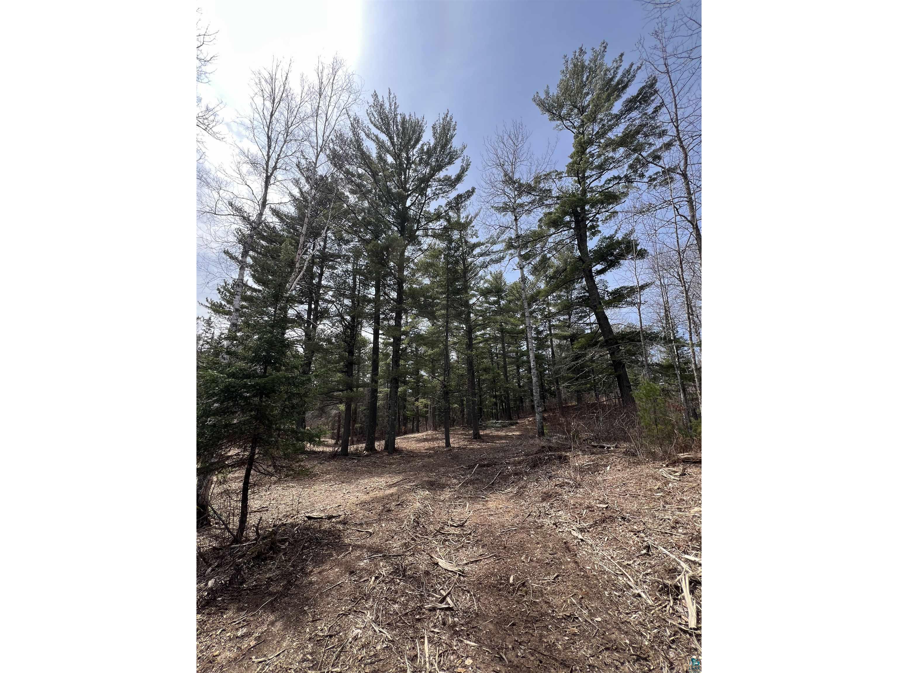 XXXX Camp House Rd Brimson MN 55602 6124779 image13