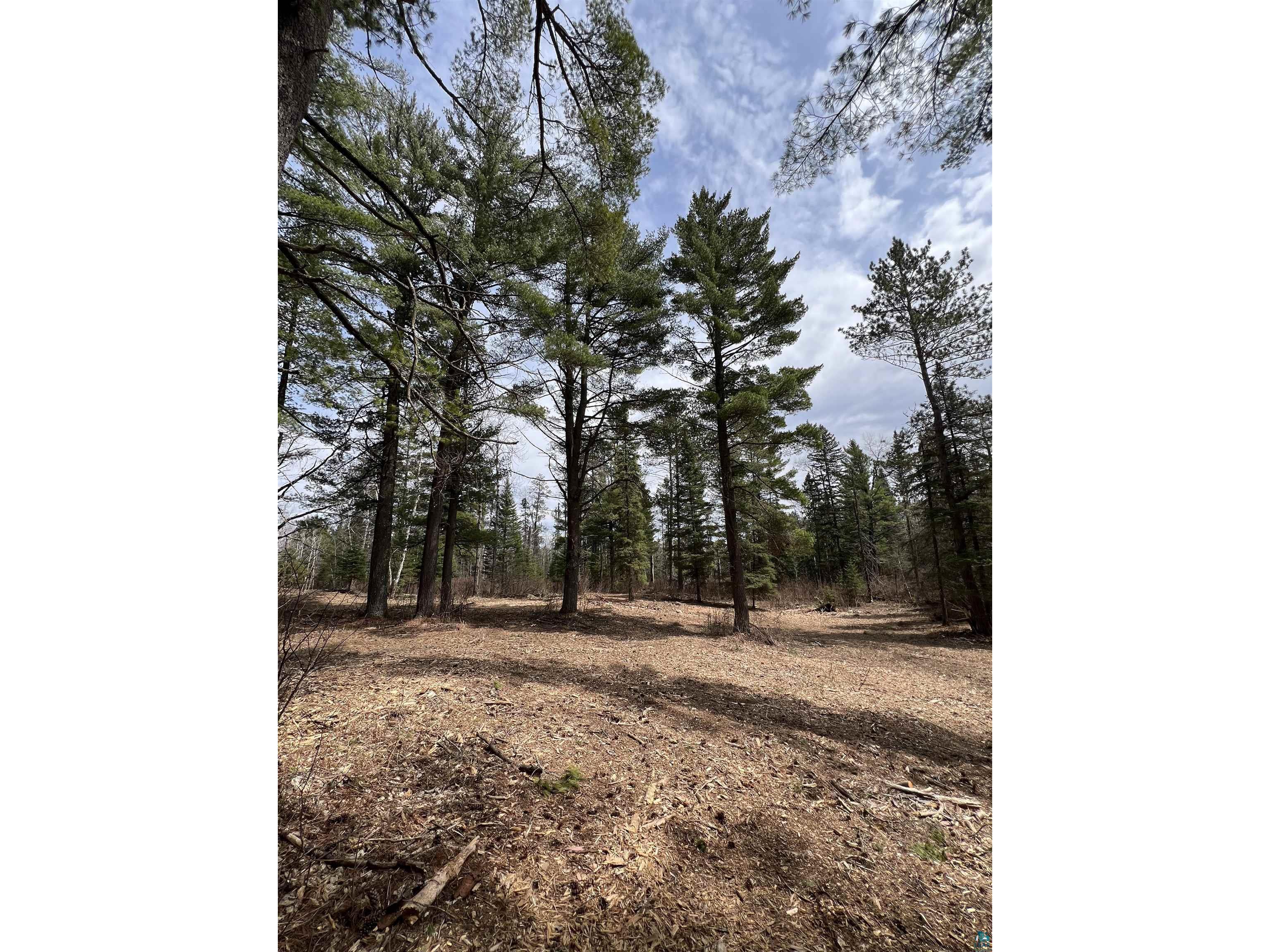 XXXX Camp House Rd Brimson MN 55602 6124779 image2