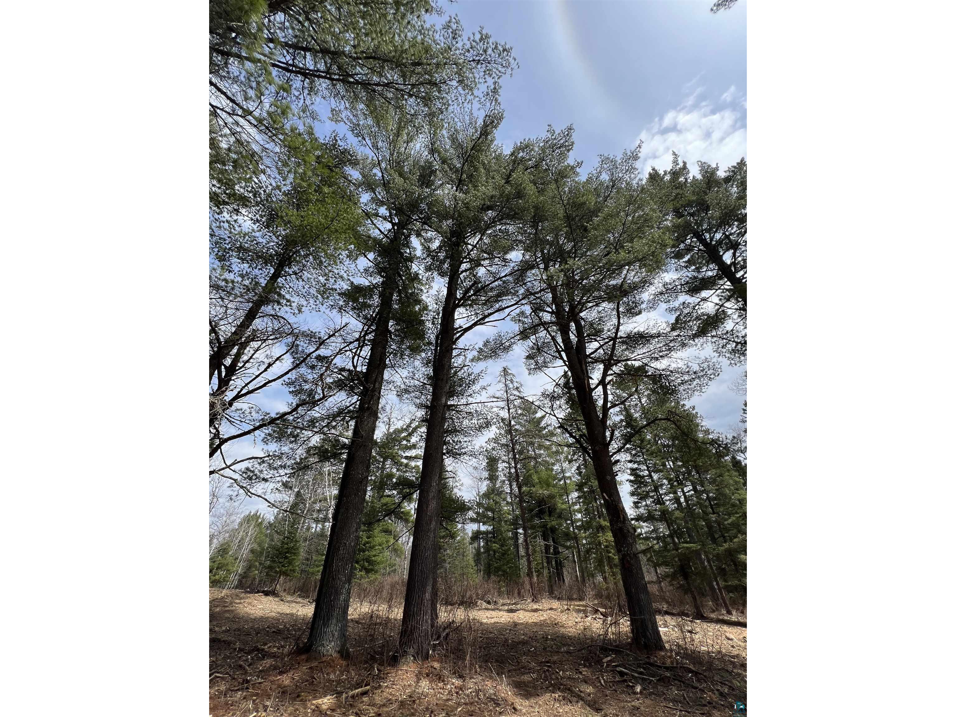 XXXX Camp House Rd Brimson MN 55602 6124779 image3