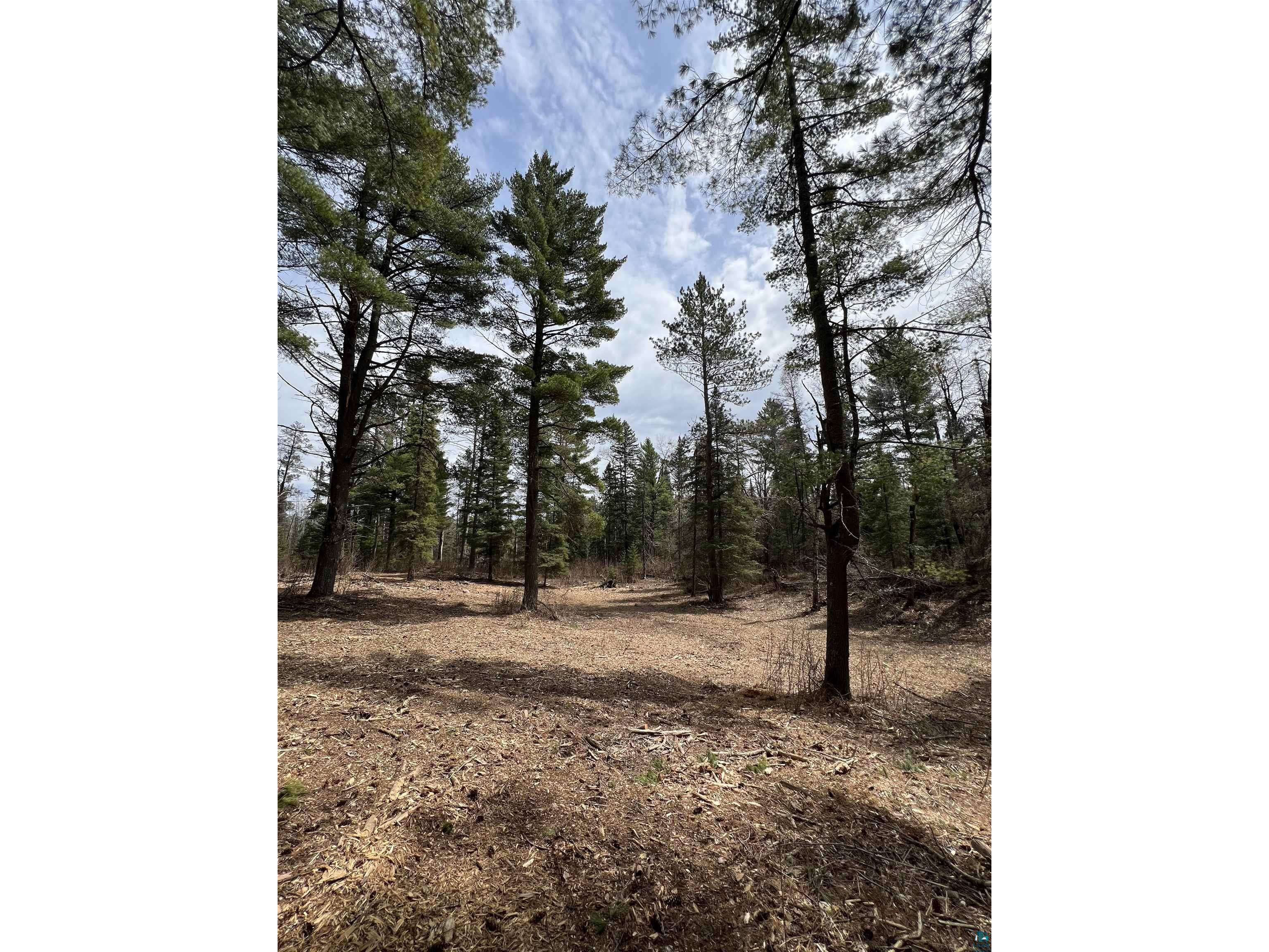 XXXX Camp House Rd Brimson MN 55602 6124779 image6