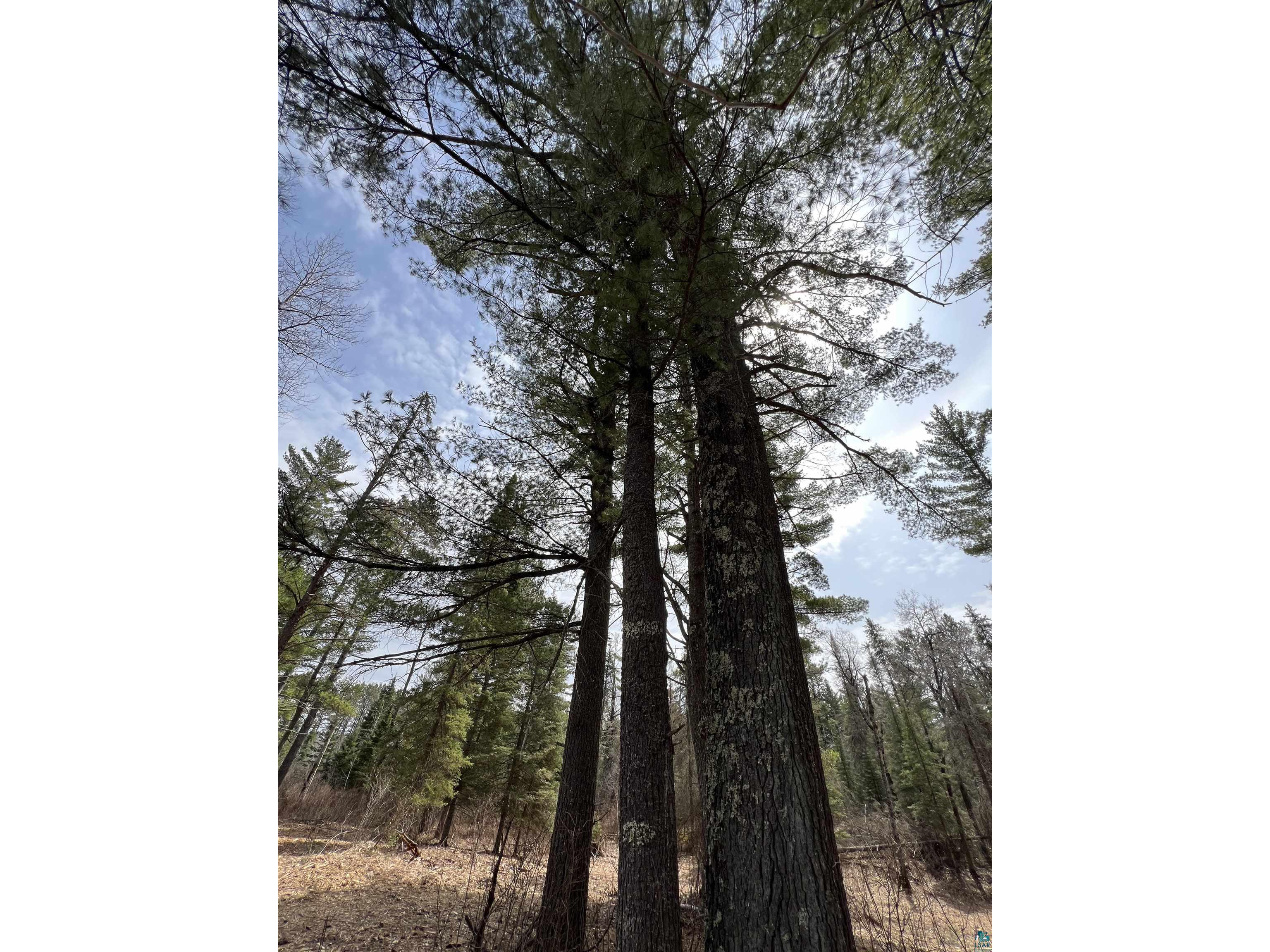 XXXX Camp House Rd Brimson MN 55602 6124779 image8