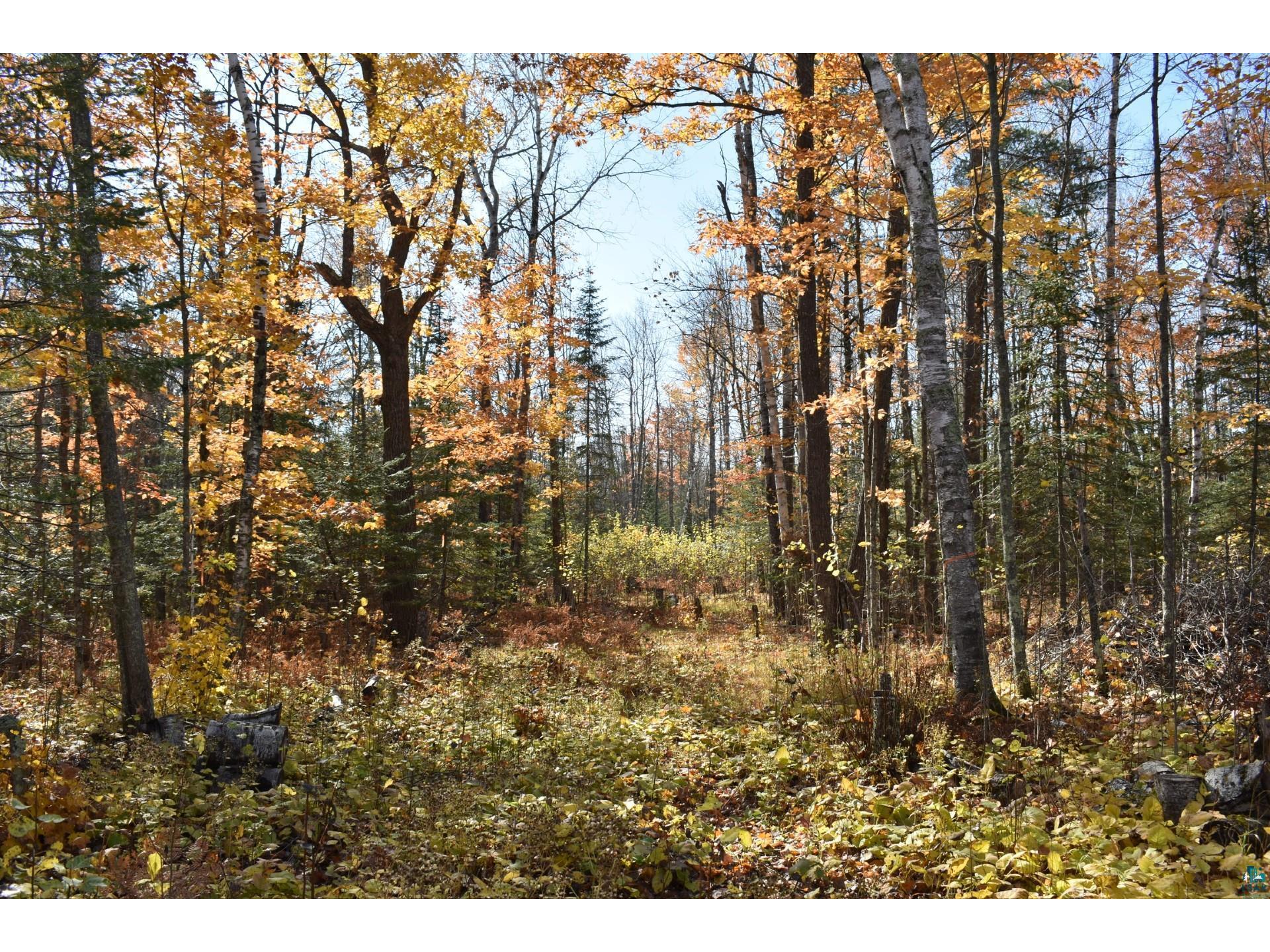 XXXX County Rd 4 Mahtowa MN 55707 6118208 image1