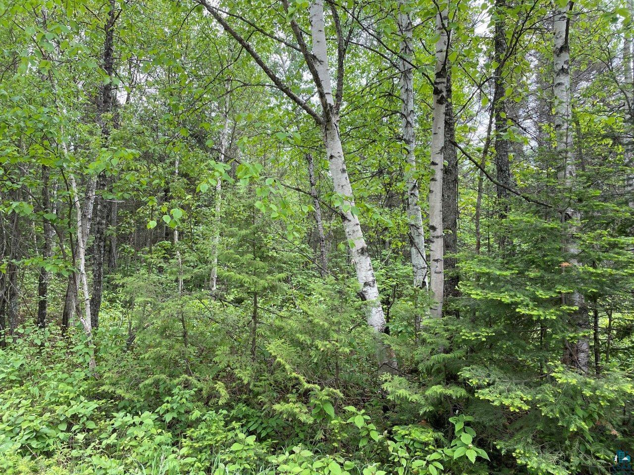 XXXX E General Grade Rd Finland MN 55603 6114452 image1